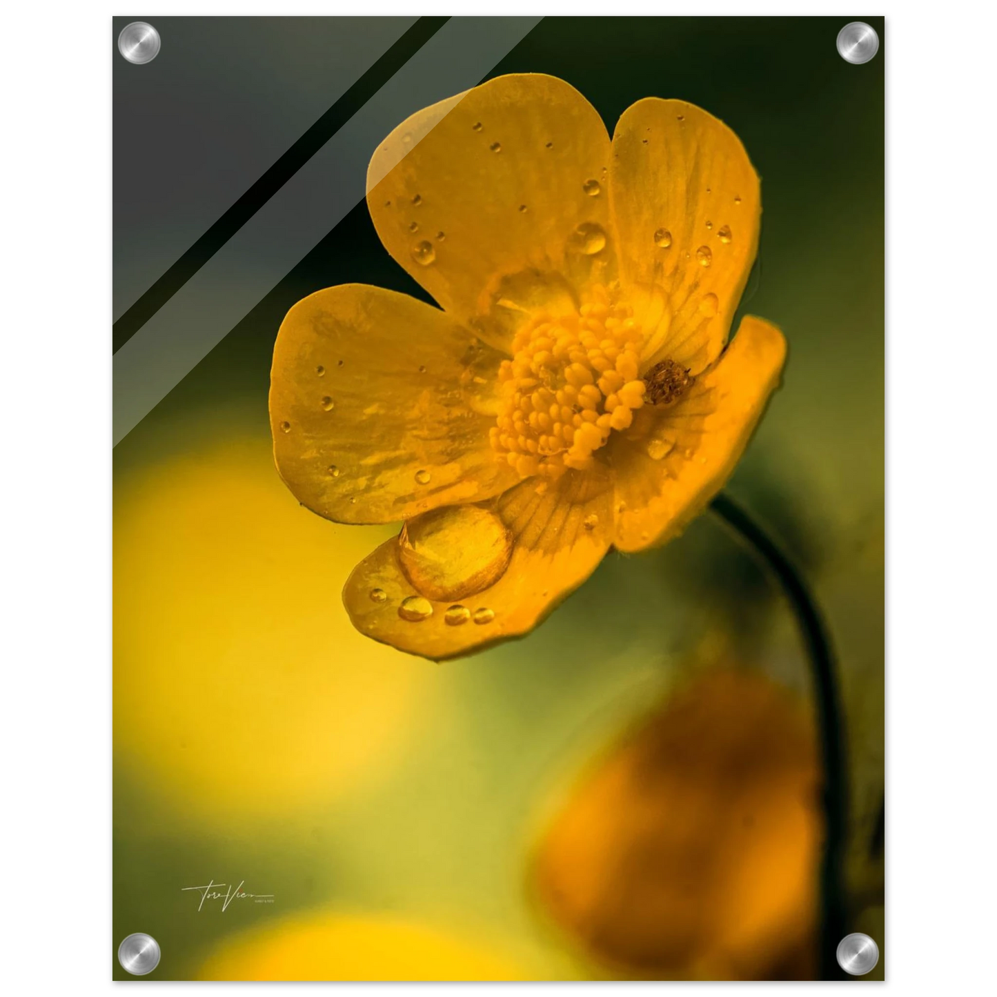 4de06c73-60b2-492b-896f-f07de198aff7