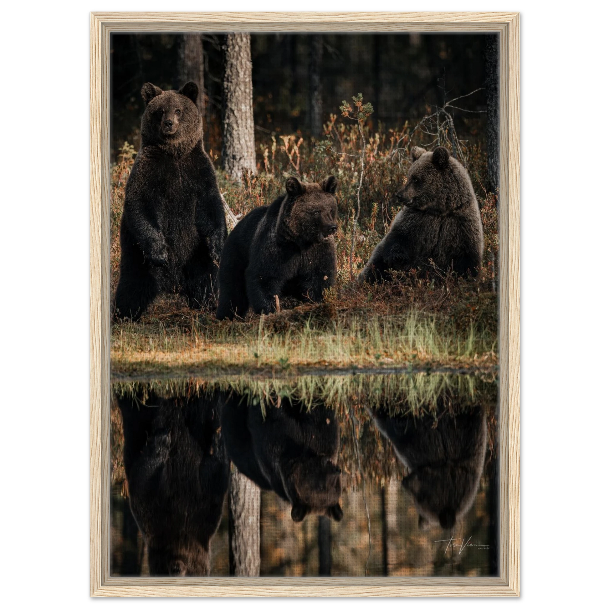 4f51b150-758b-47f5-b284-1175f6f48efe