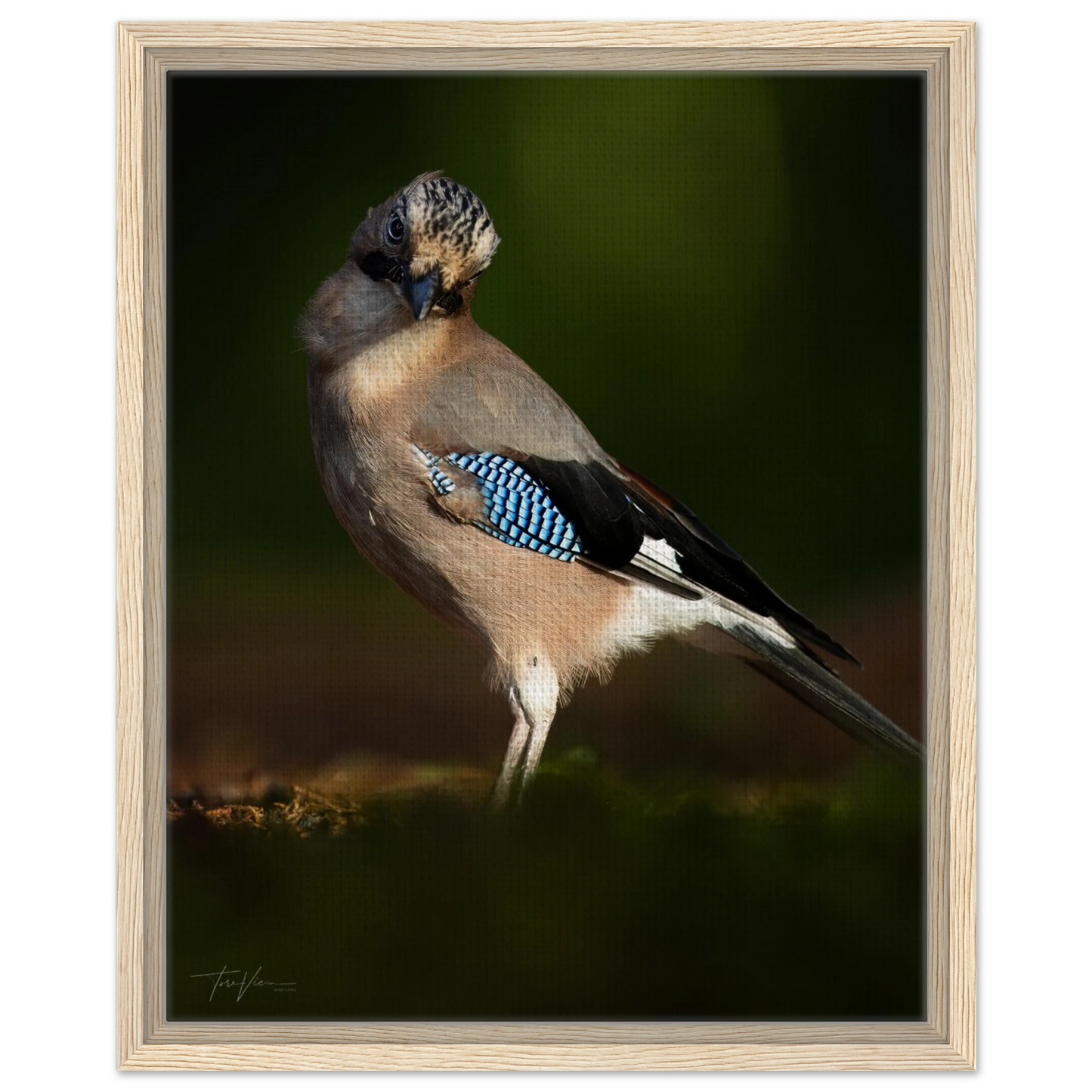 51ae5f8c-fe09-457f-8fde-2fb3502f6ab8