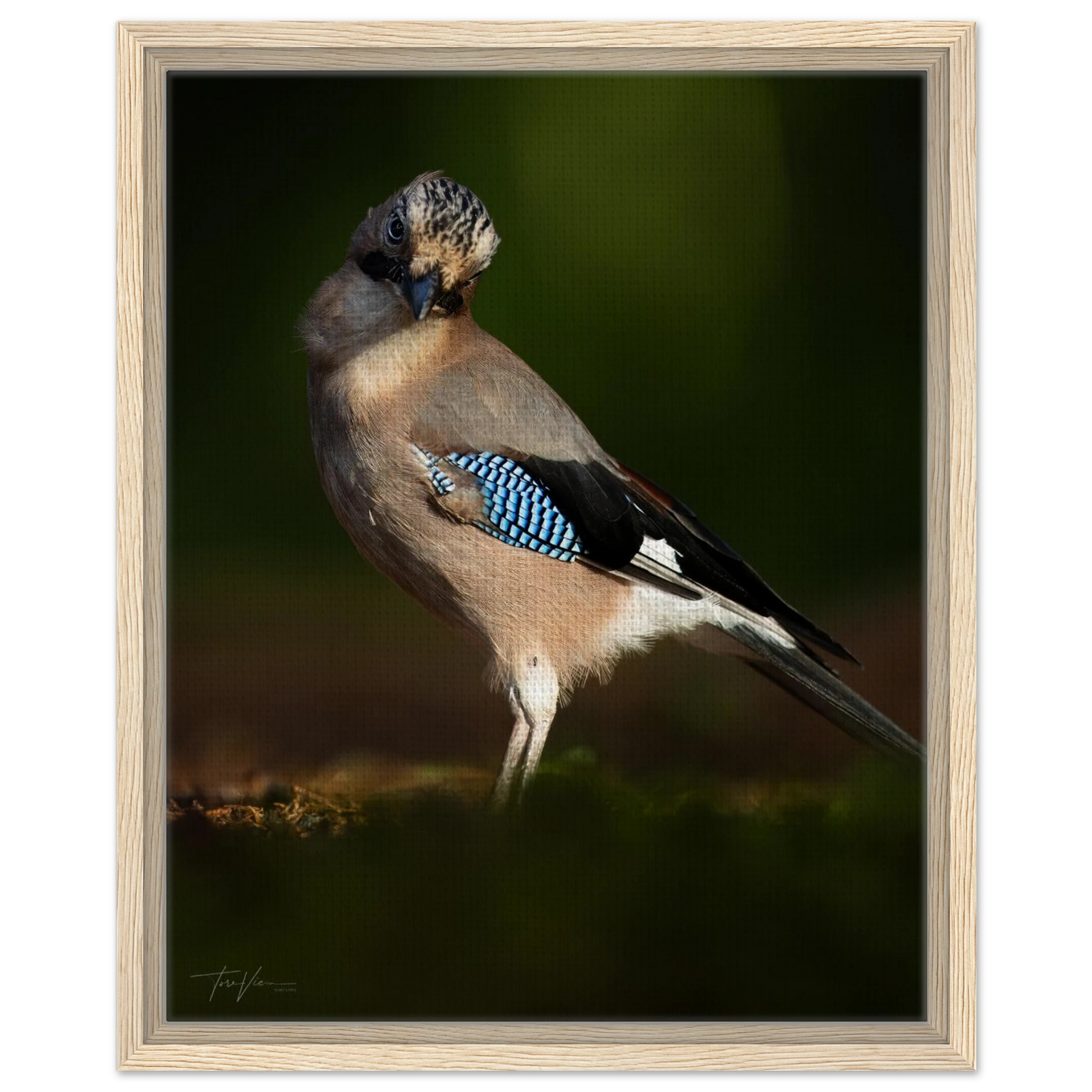 51ae5f8c-fe09-457f-8fde-2fb3502f6ab8