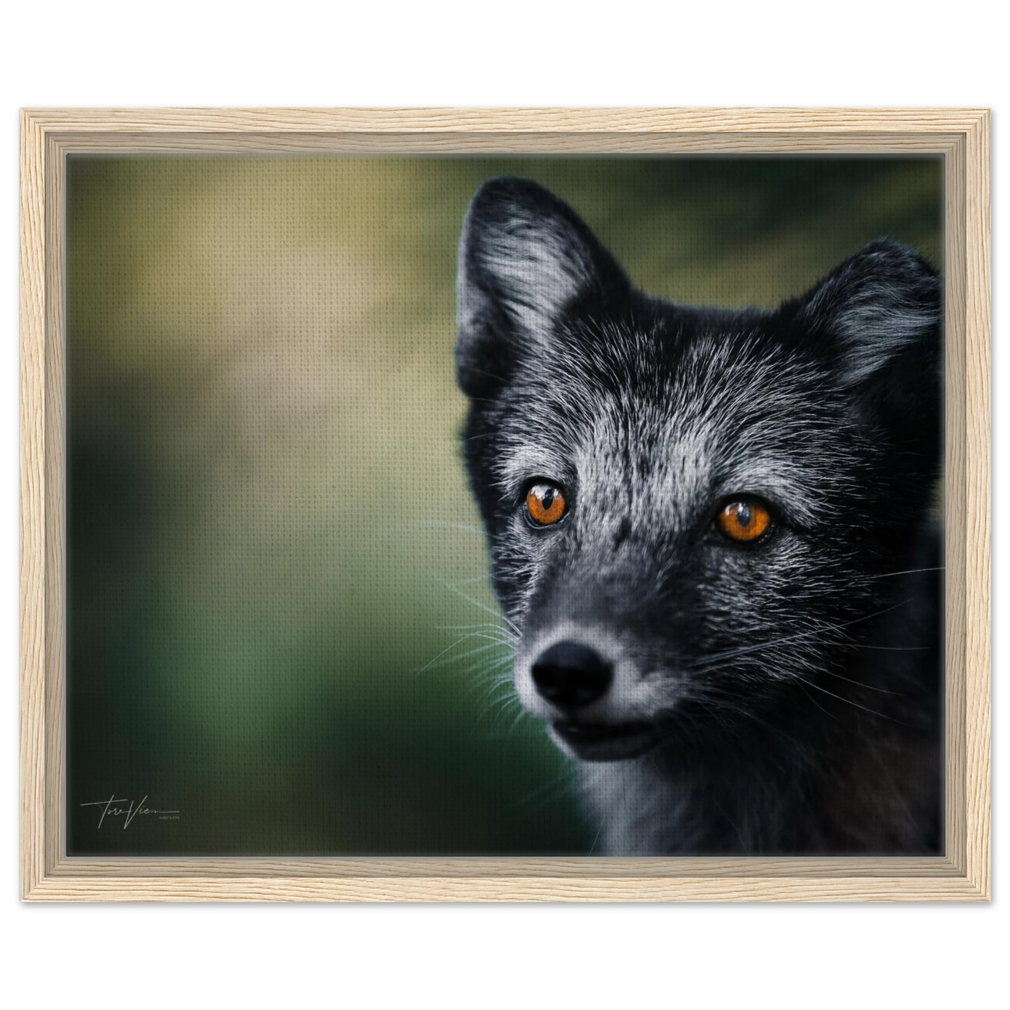 51f1e957-f40e-470f-8137-ab31cf85014e