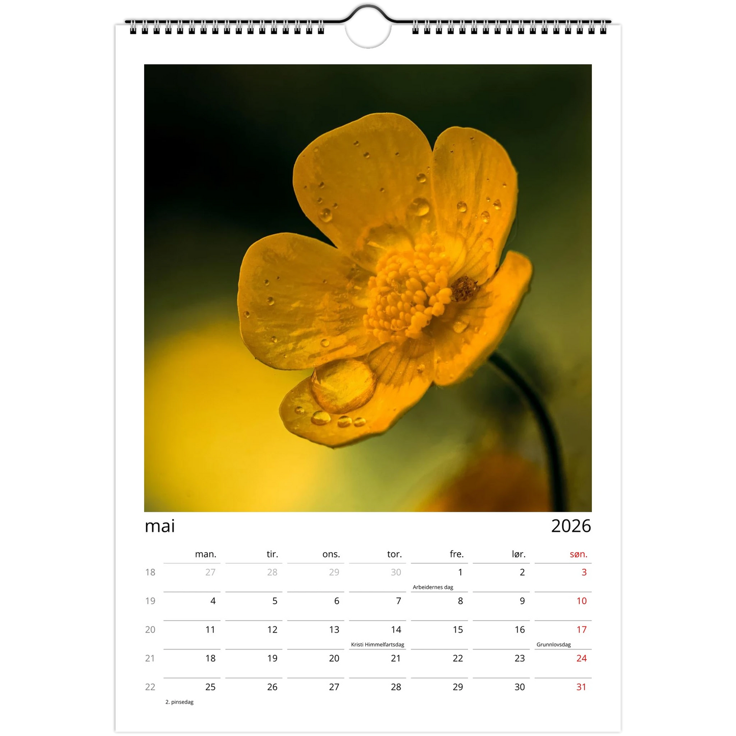 52bbe325-14f4-427b-bb05-d433fc96bfa9