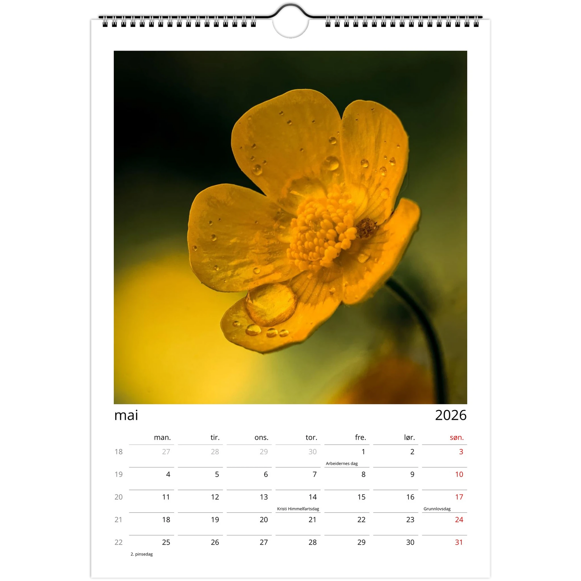 52bbe325-14f4-427b-bb05-d433fc96bfa9