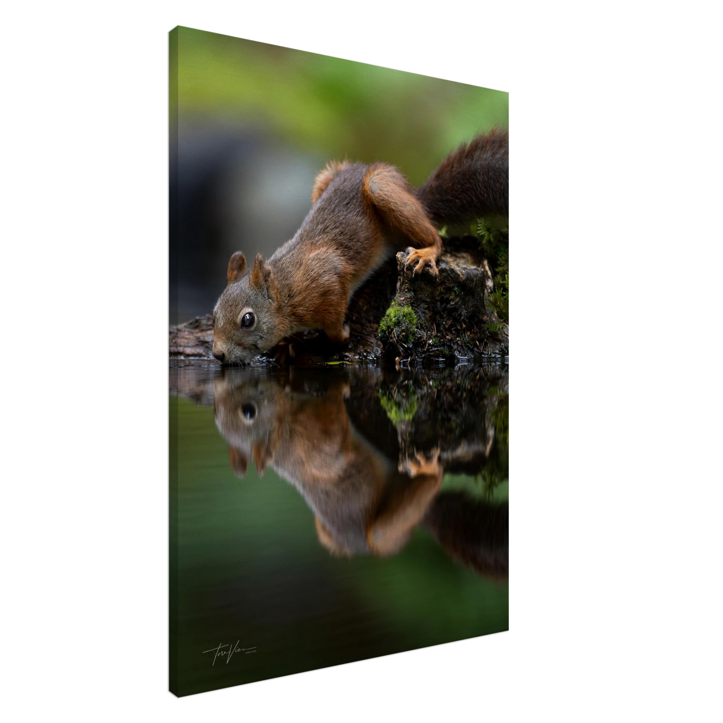 5411f852-1578-47a0-b381-9bfeebb1405f