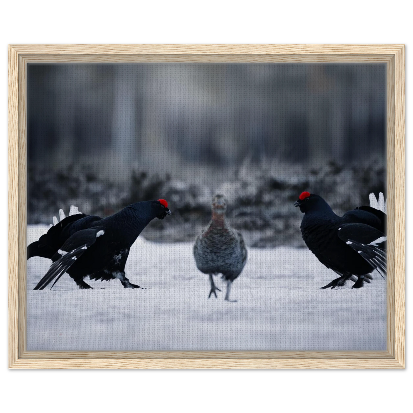 54b84b23-bde6-4647-bceb-f89681e00f8c