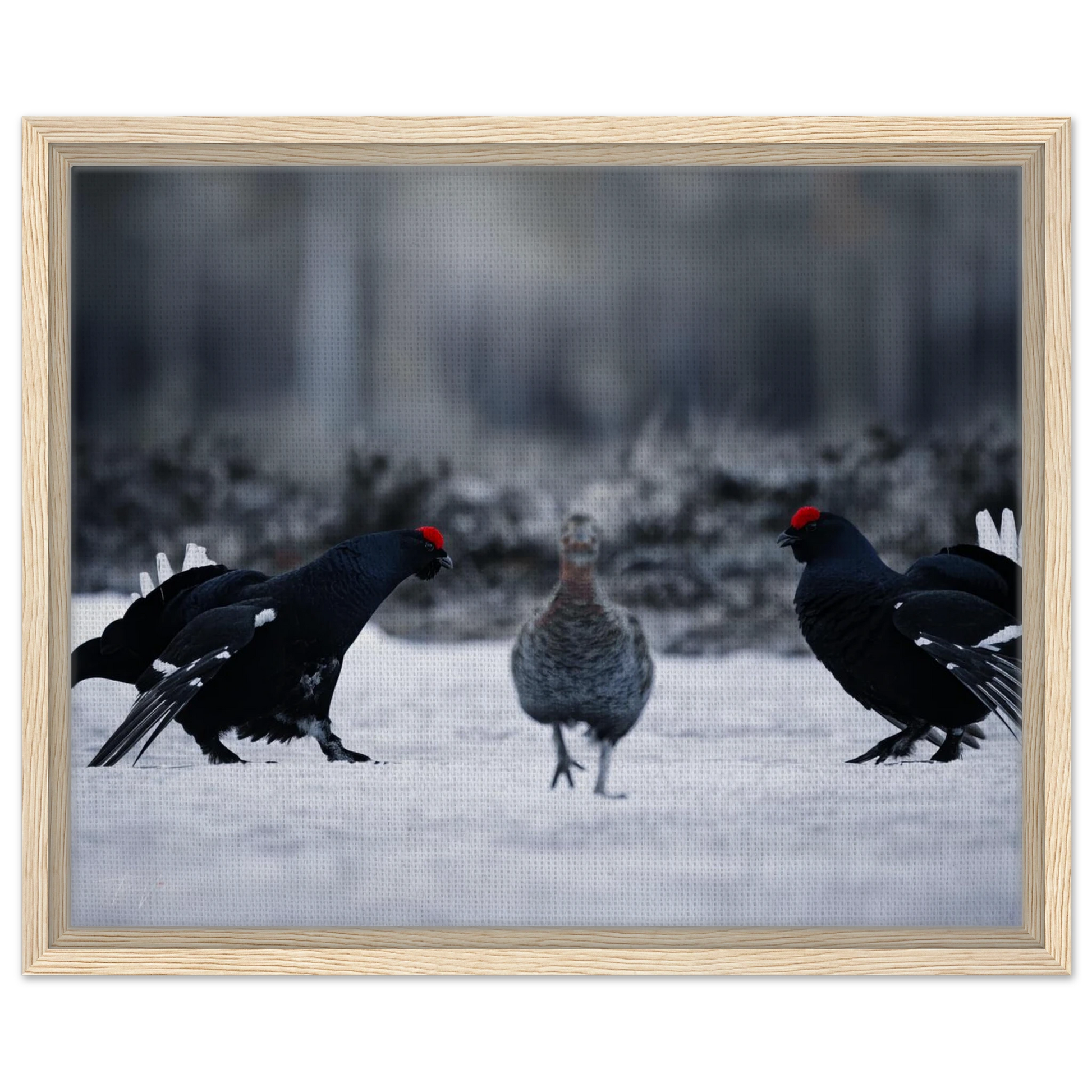 54b84b23-bde6-4647-bceb-f89681e00f8c