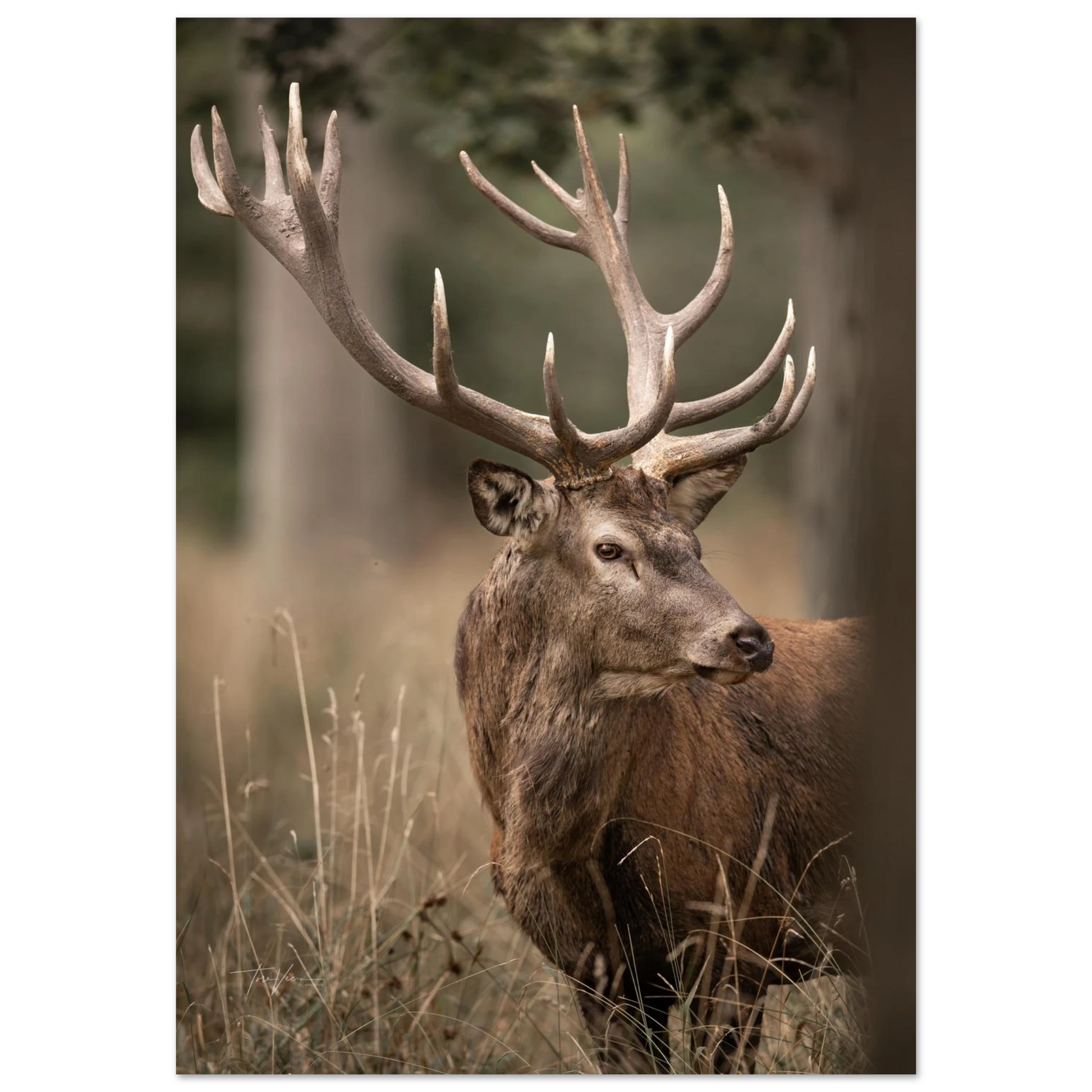 54f09ade-4044-4576-857c-cdab62f3570d