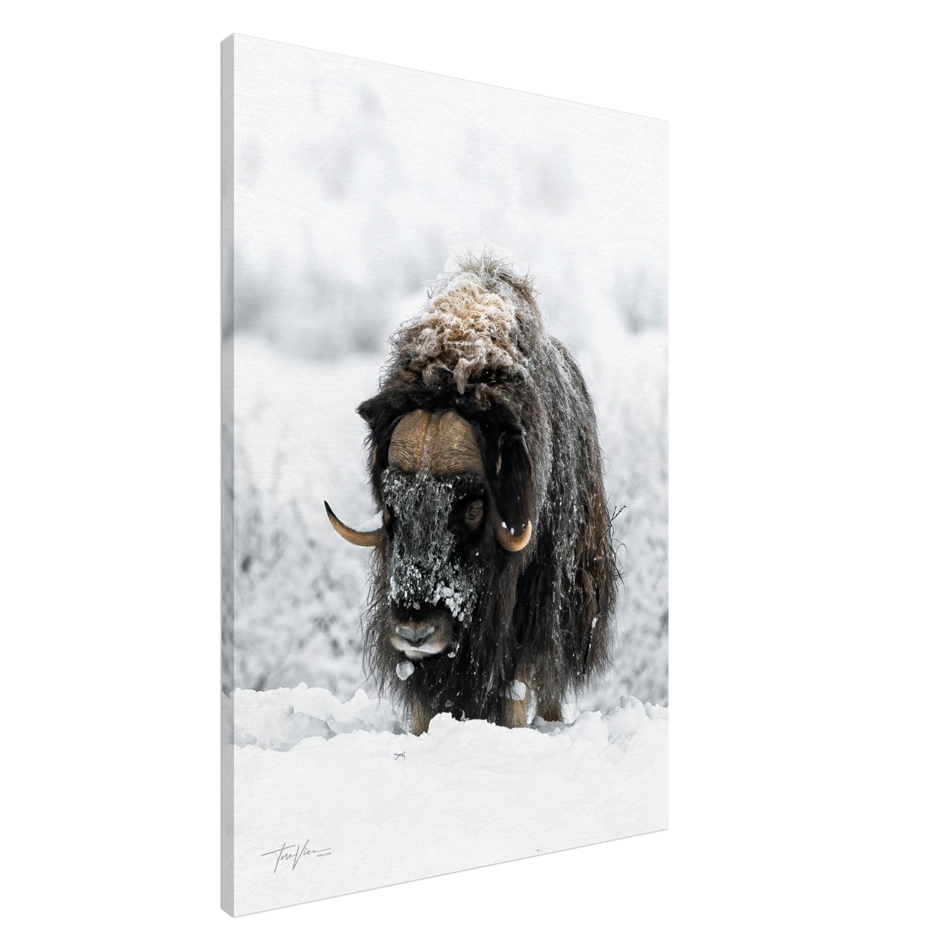 55028239-cc75-44f7-87f7-ebc42d195678