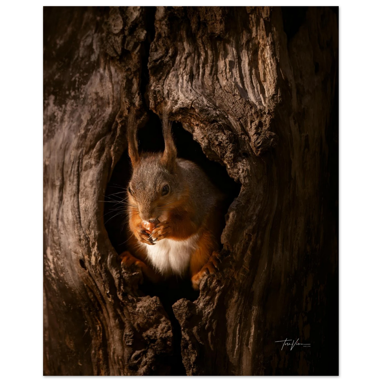 5661559d-eb37-4cd5-99fe-5bec5c4e6160