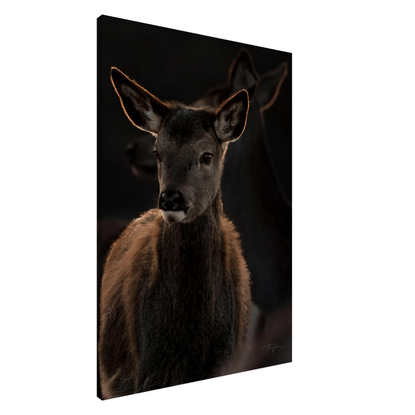 57032bc4-b5c4-42d2-8b57-810f6de3d0b5