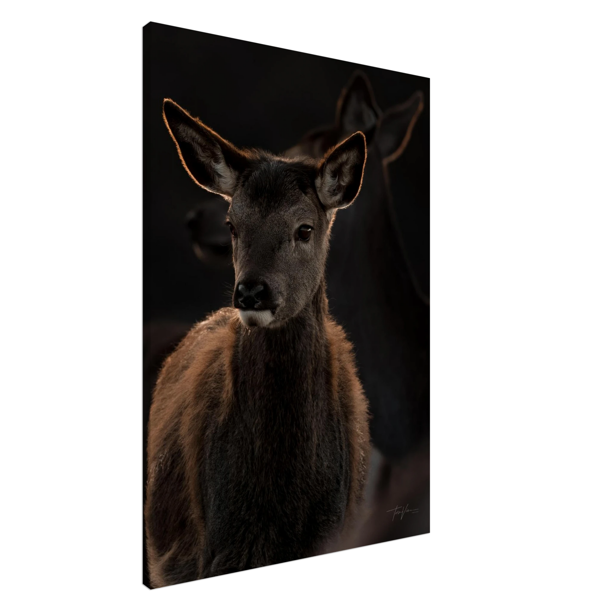 57032bc4-b5c4-42d2-8b57-810f6de3d0b5