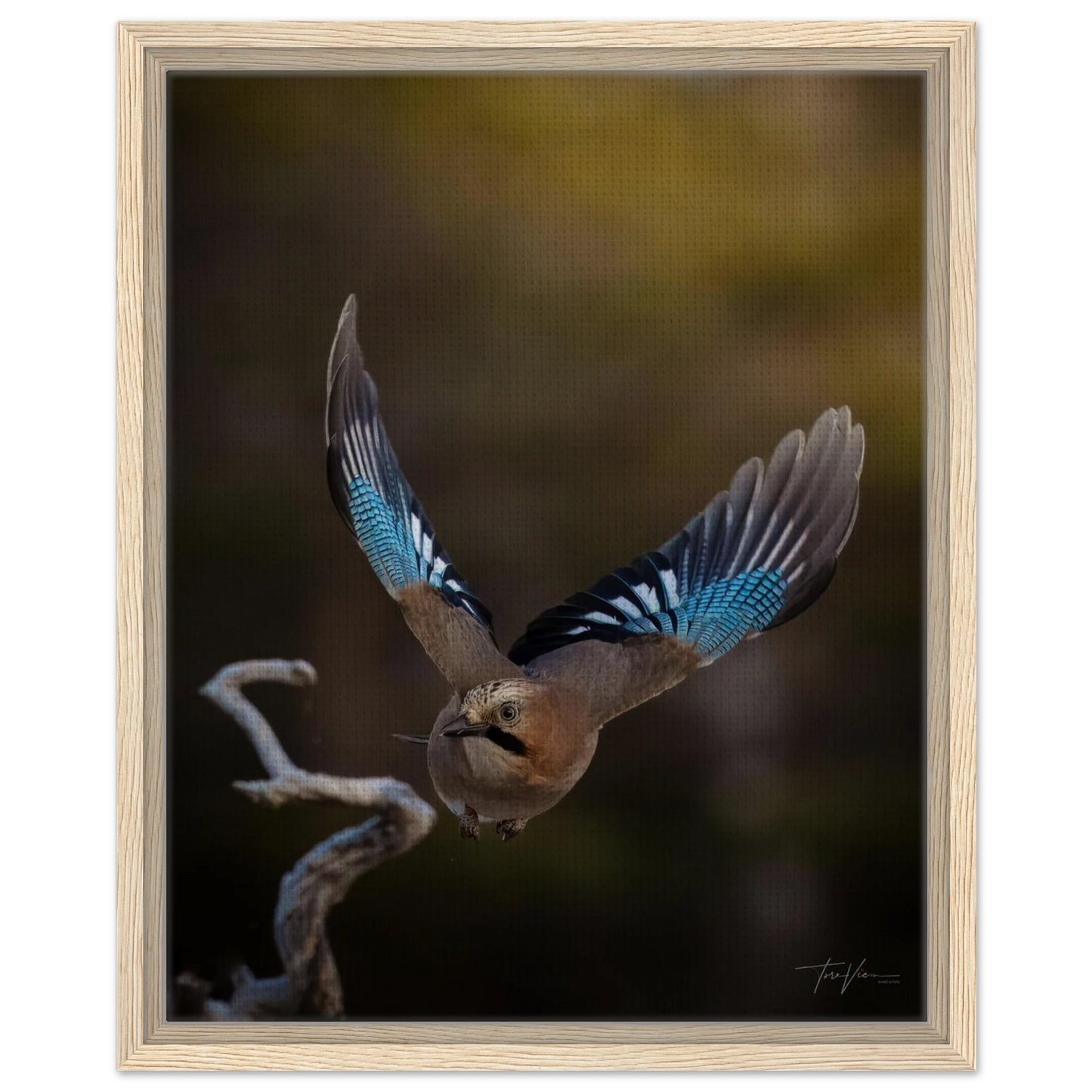 5779d43d-0810-4202-b7d6-56a205134bea