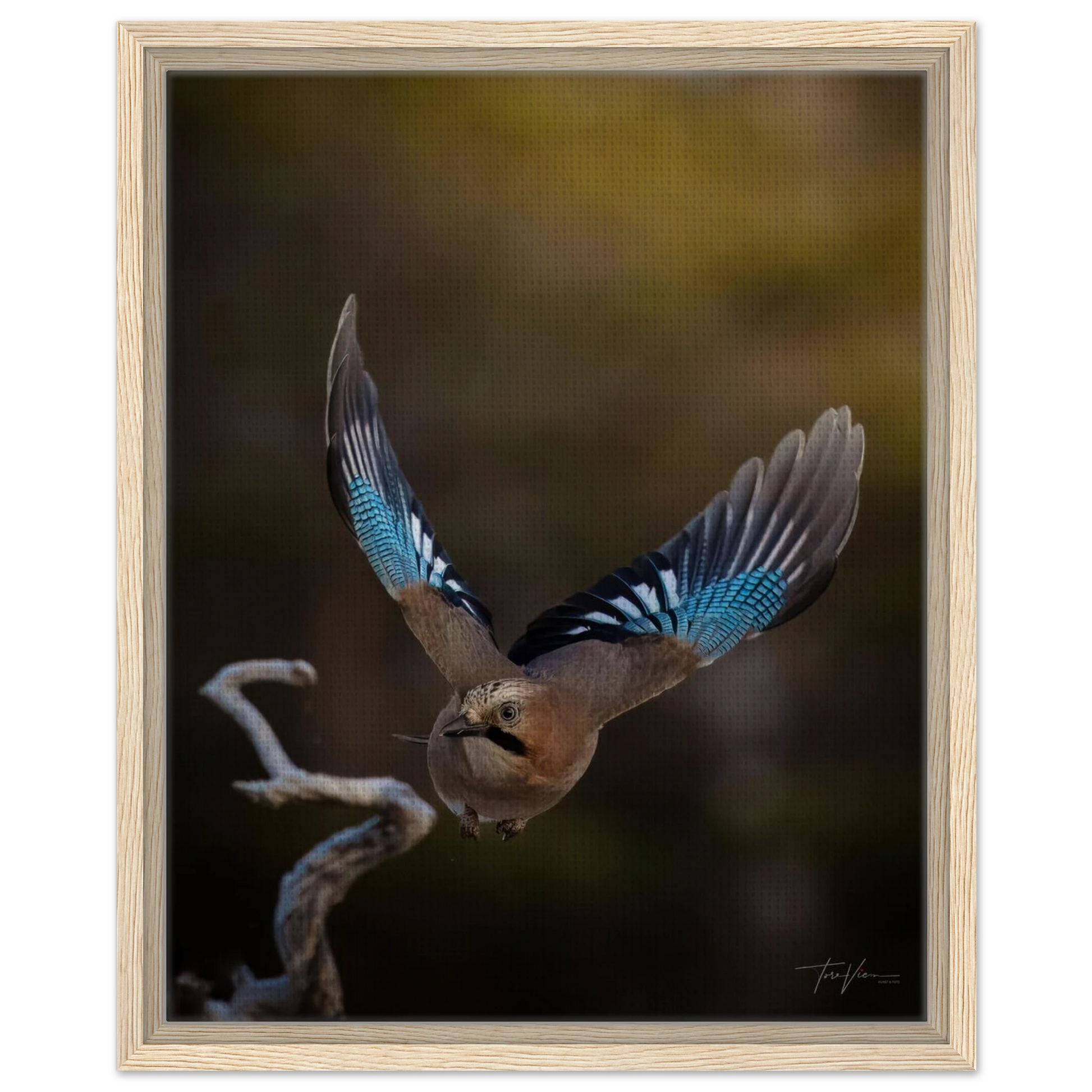 5779d43d-0810-4202-b7d6-56a205134bea