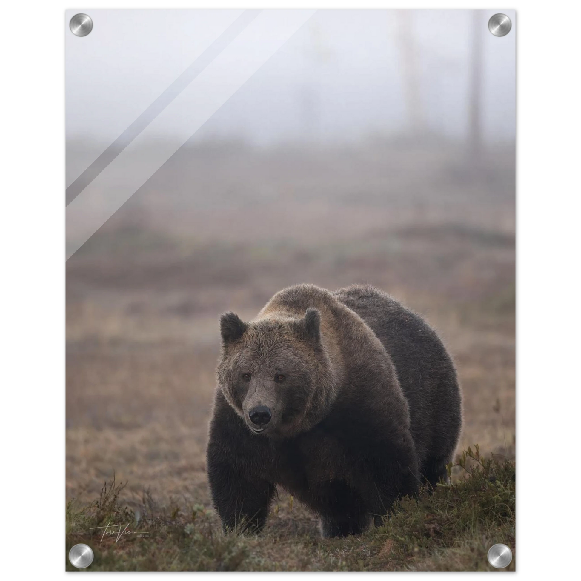 577a032b-e60e-4a02-90a5-b47aa86db8c1