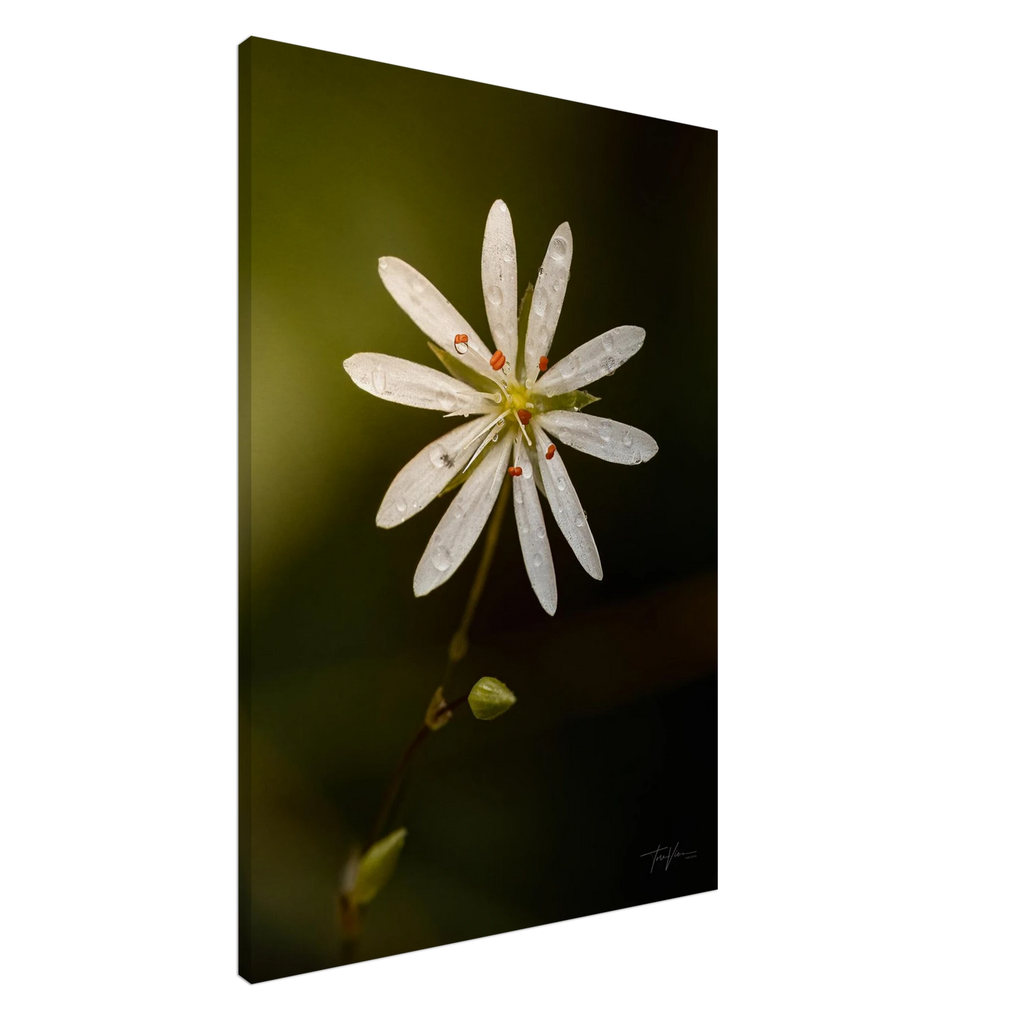 585cc384-d12c-4598-bb1c-10d4e6ea7b7c