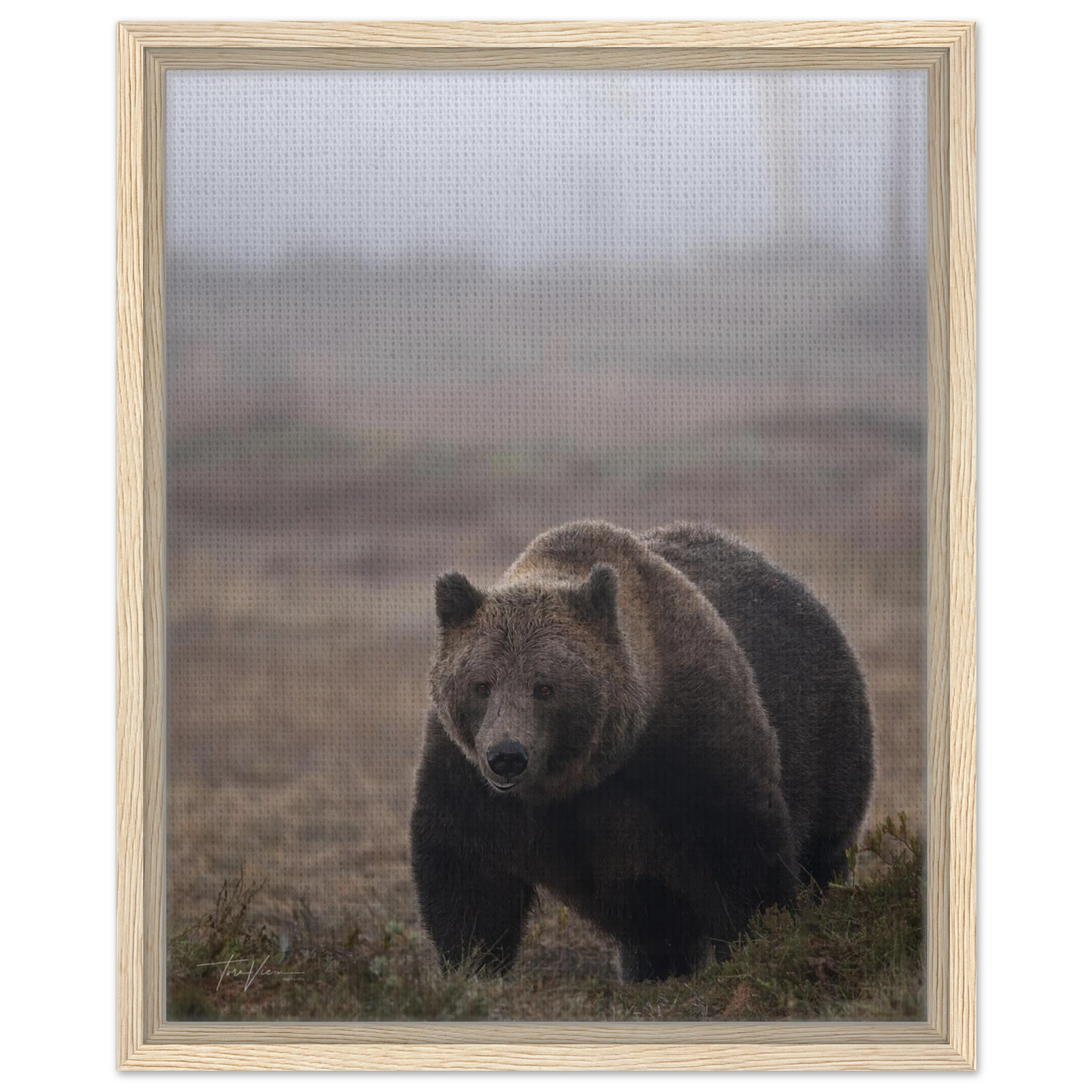 58c5e03d-c2d6-4d12-9417-bd6decfba878