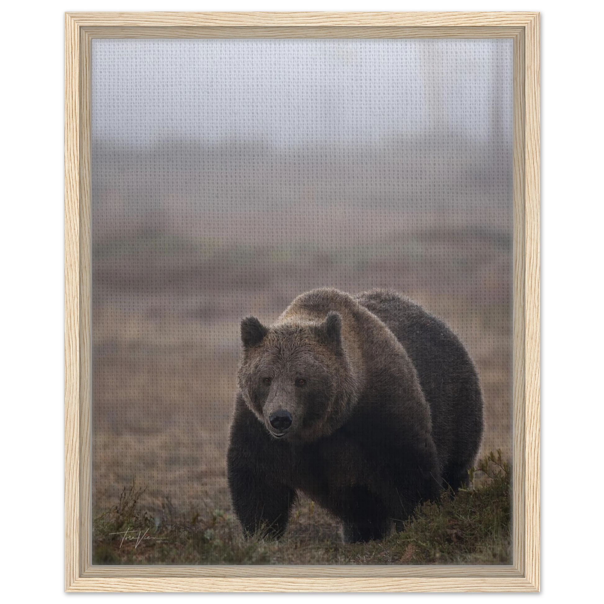 58c5e03d-c2d6-4d12-9417-bd6decfba878