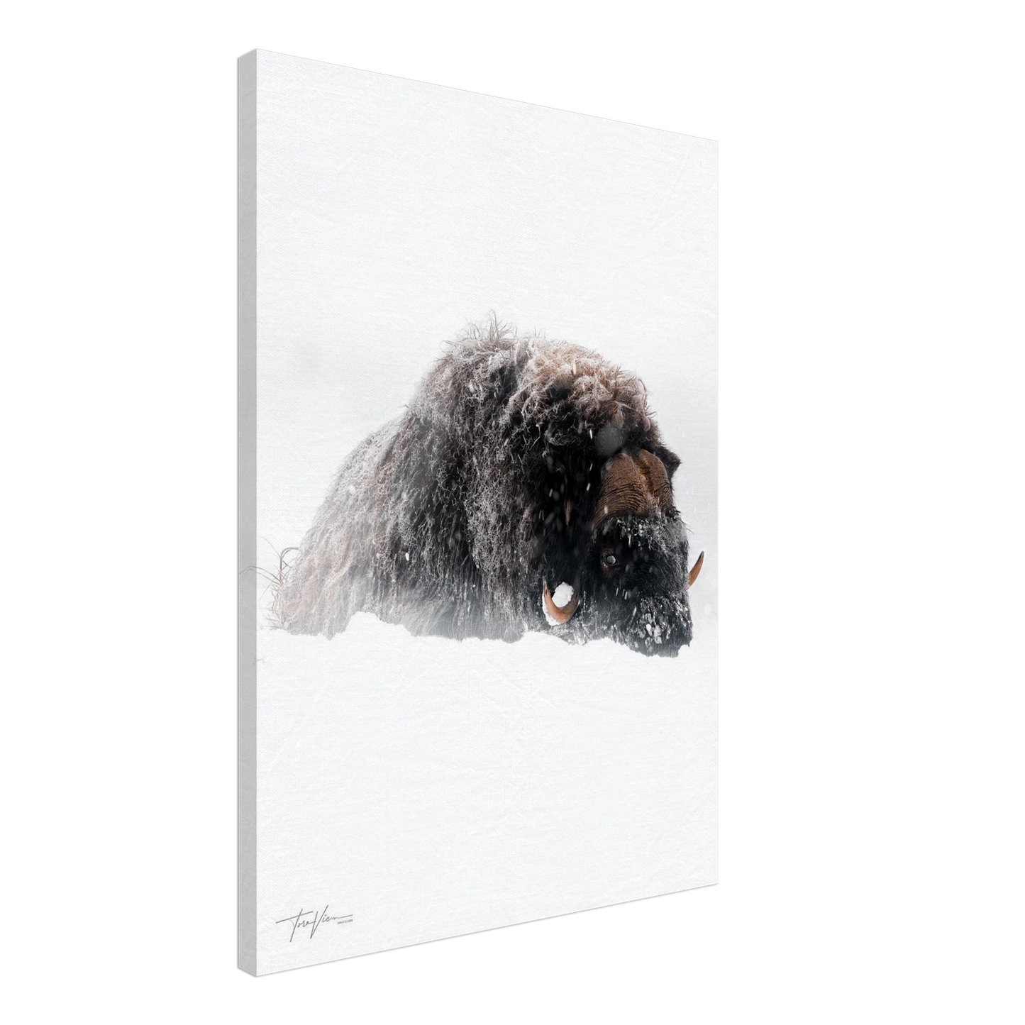 58ced919-08fb-43d9-827c-e3ebf1250601