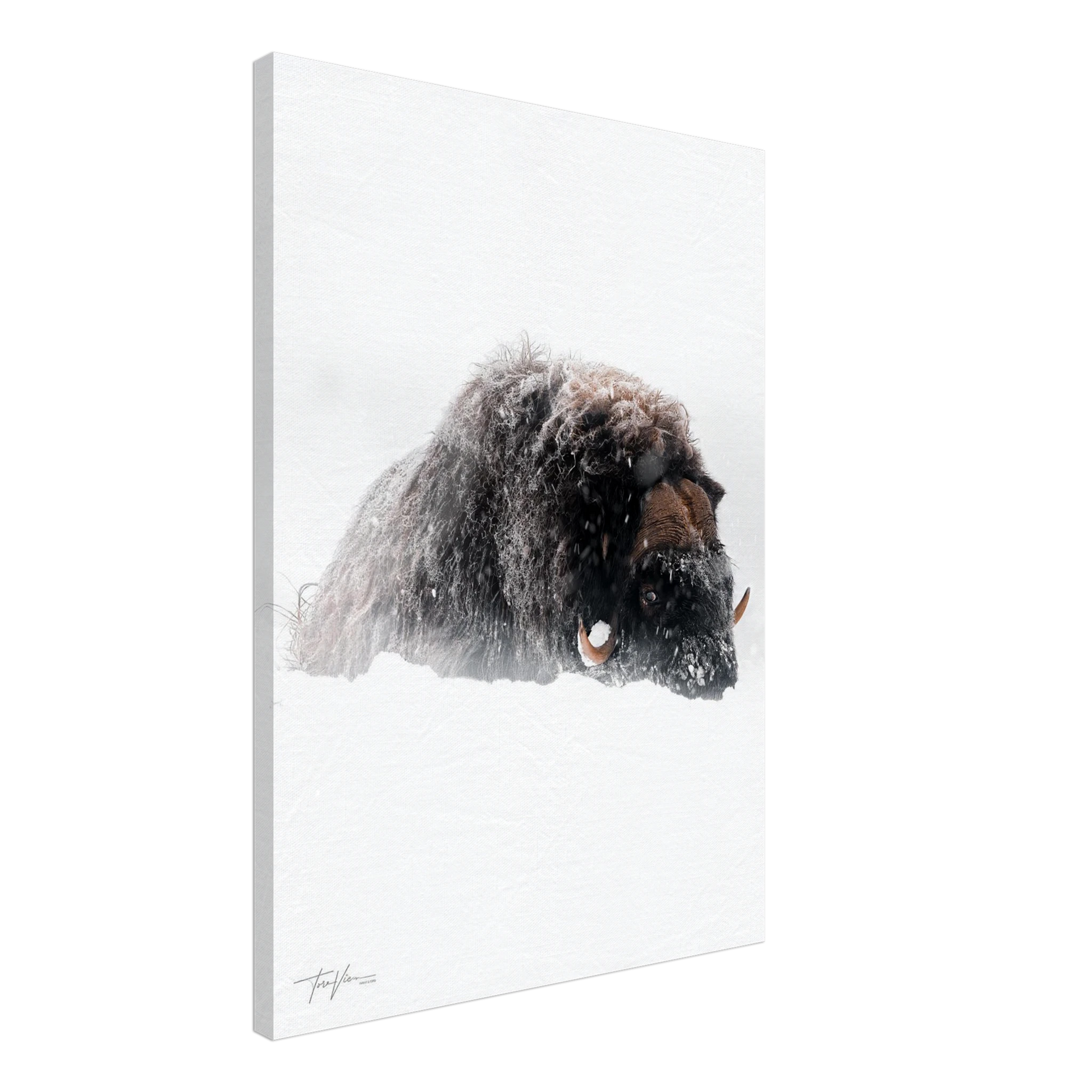 58ced919-08fb-43d9-827c-e3ebf1250601