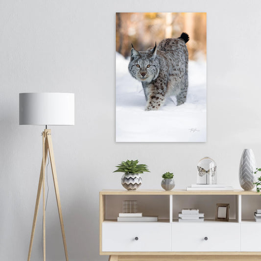 590008e9-96dc-463f-9d12-9b621f7912fe