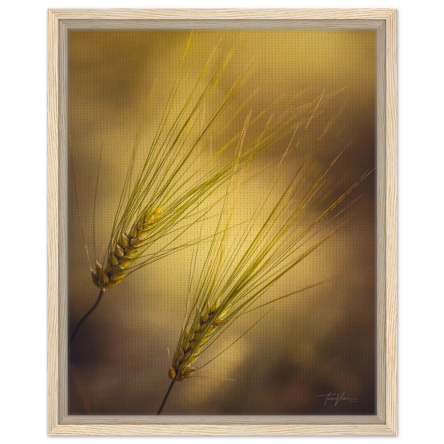 5943348c-95b5-43ae-a8ce-c693e05180be