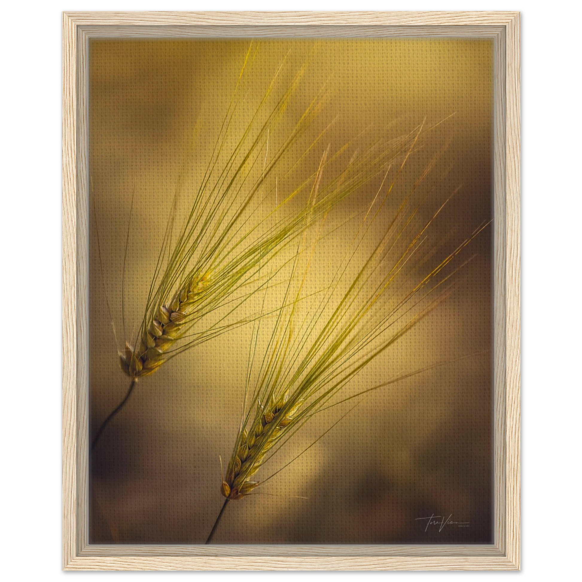 5943348c-95b5-43ae-a8ce-c693e05180be