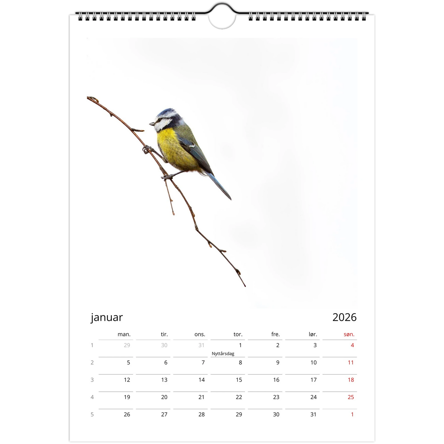 59e15fdf-f67f-4070-9bf3-a9e140c3979c