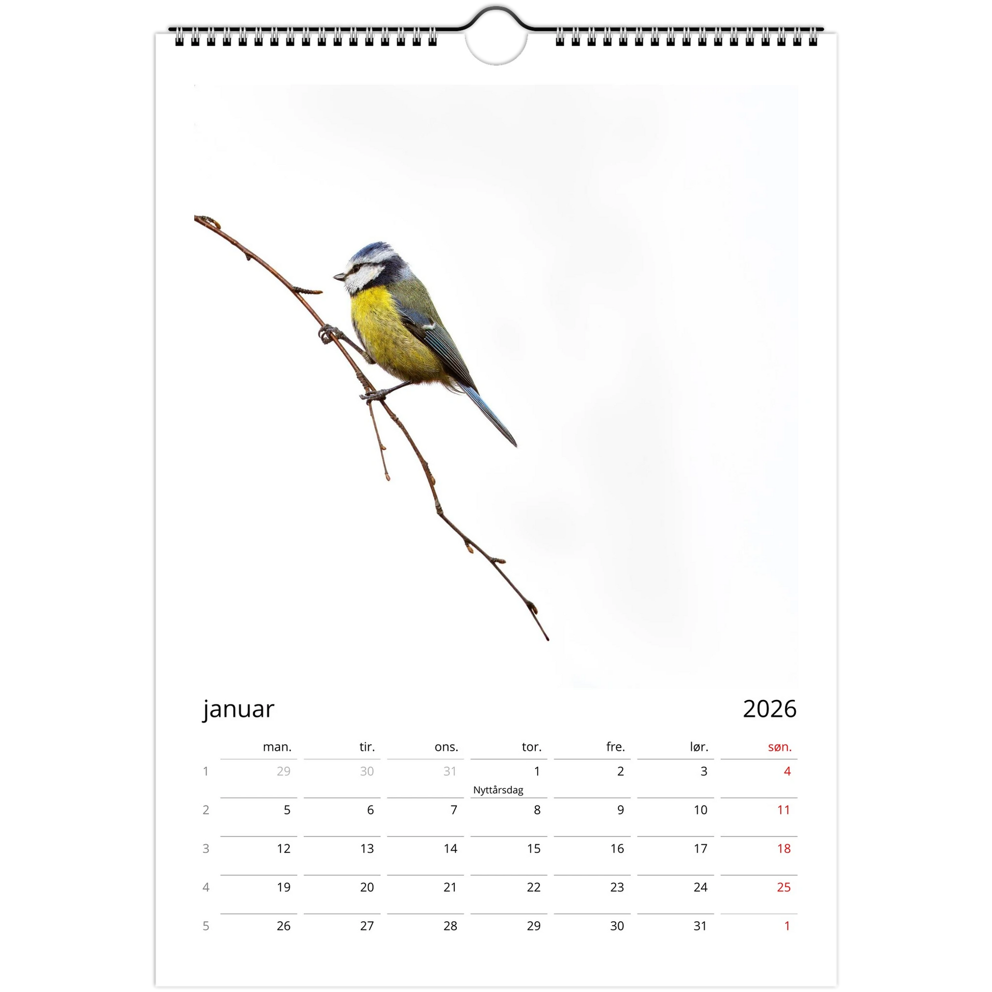 59e15fdf-f67f-4070-9bf3-a9e140c3979c