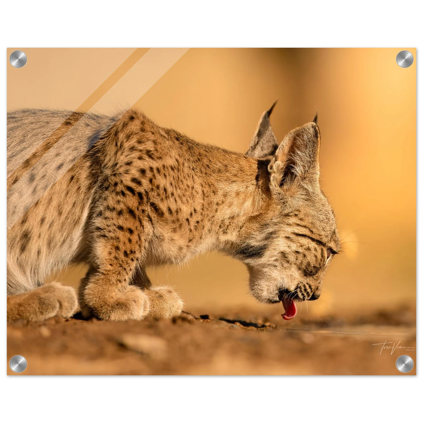 5a4e9a53-99bc-4146-b7db-1bcb662b3eb7