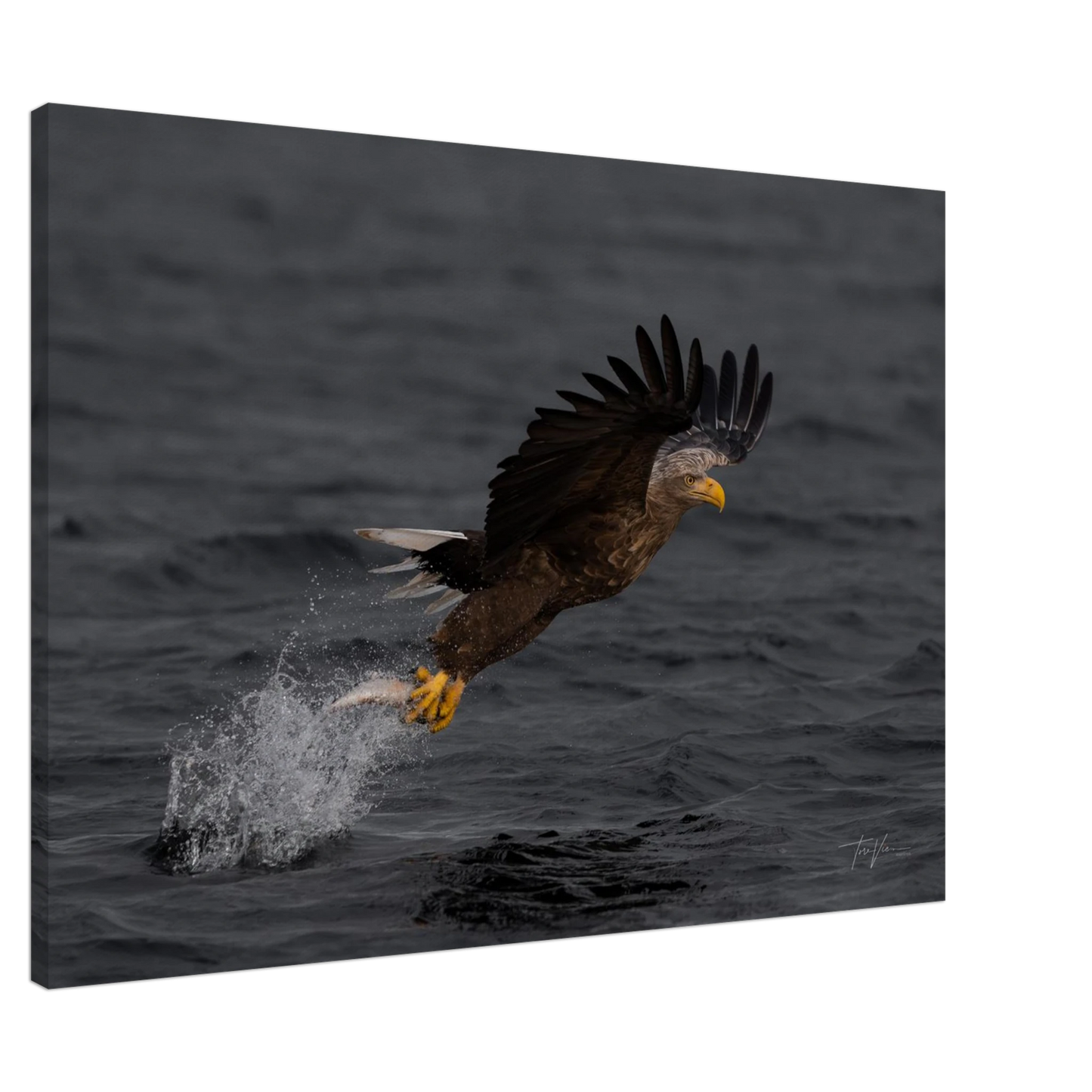 5a87608b-ea6a-4e97-8c2c-f199346a8516