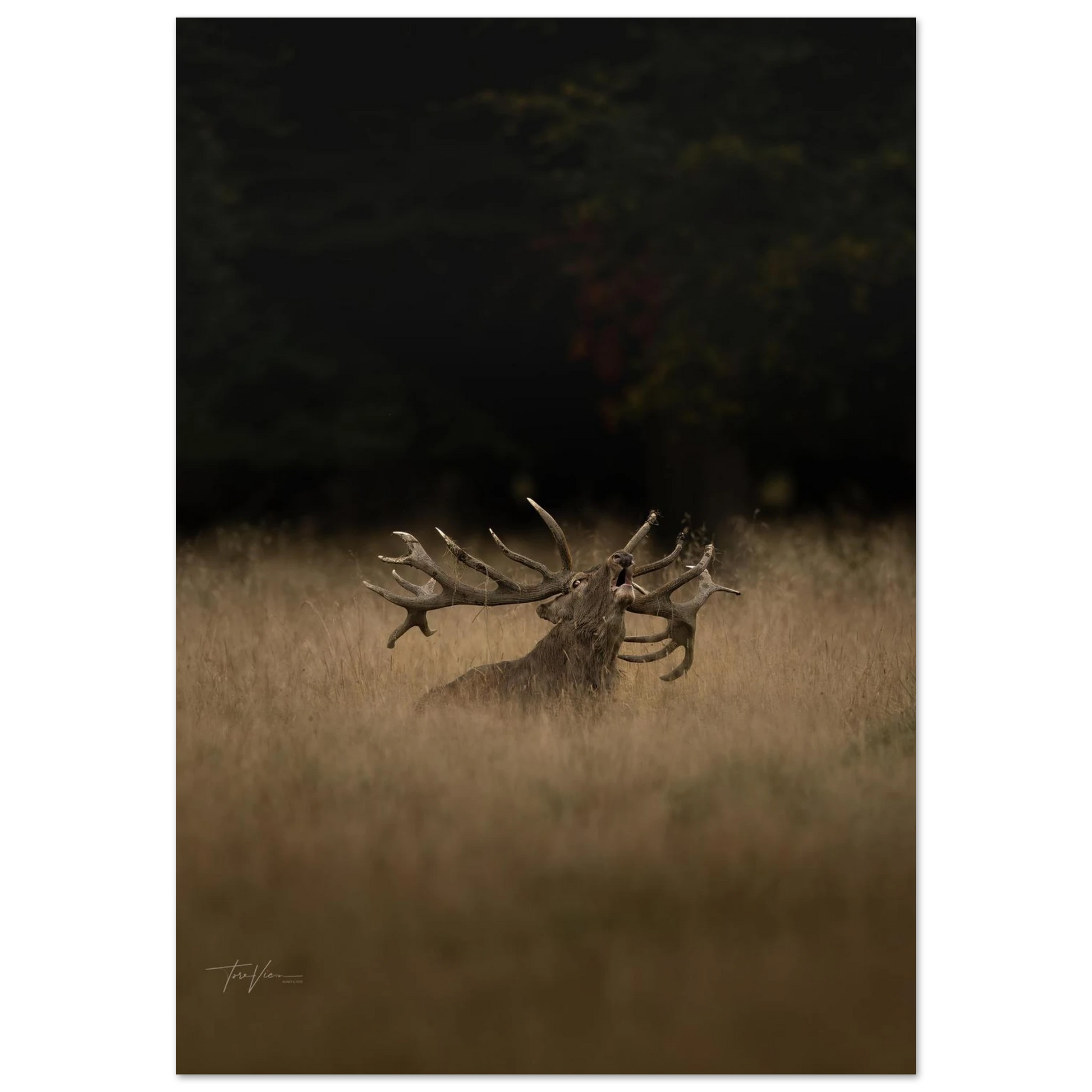 5b0760c4-fd39-4268-a6eb-1143b2347ed7