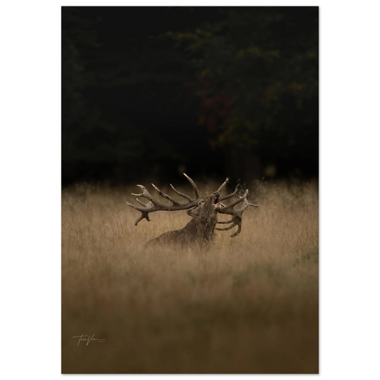 5b0760c4-fd39-4268-a6eb-1143b2347ed7