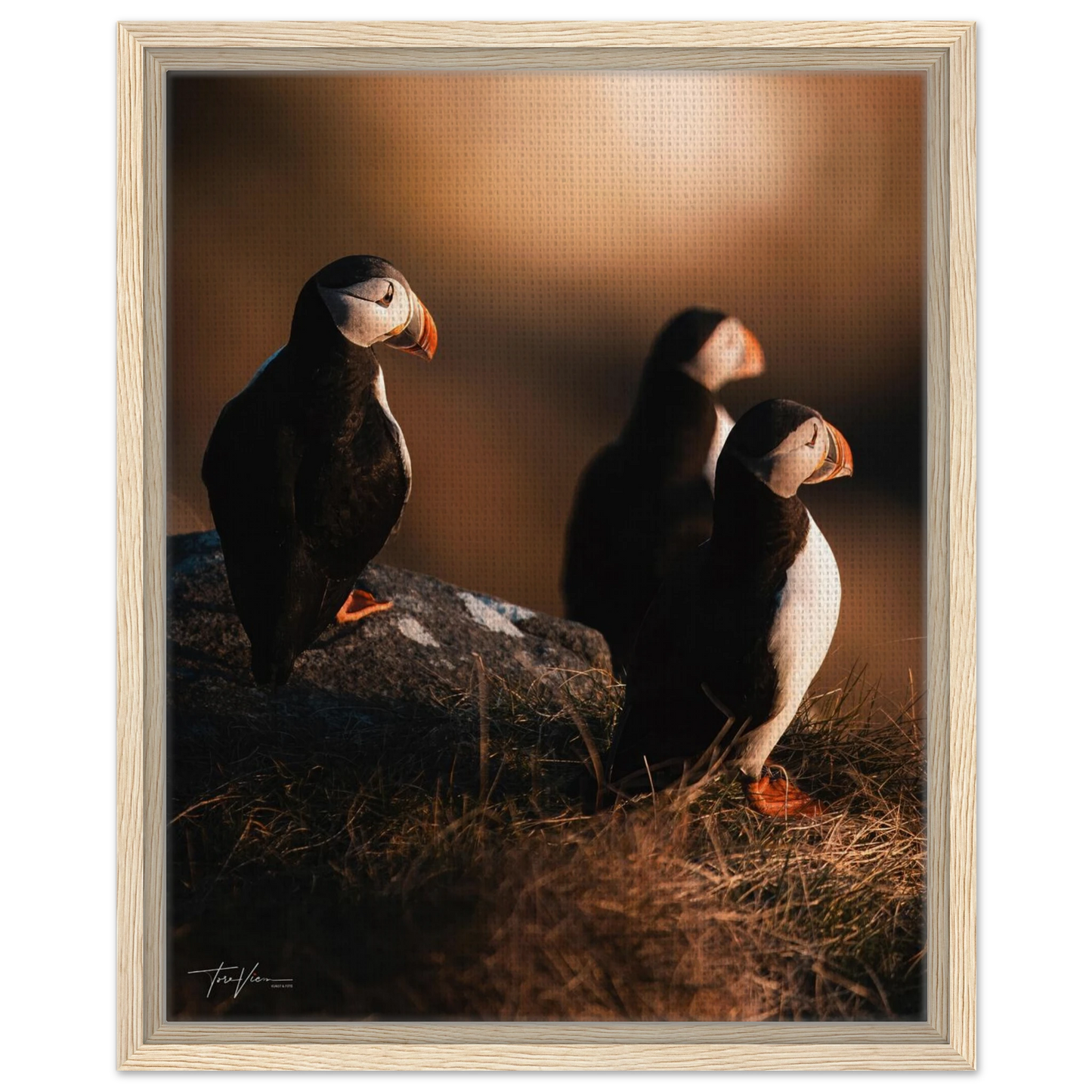 5c14e270-eae4-4031-bab0-329d85ea2f91