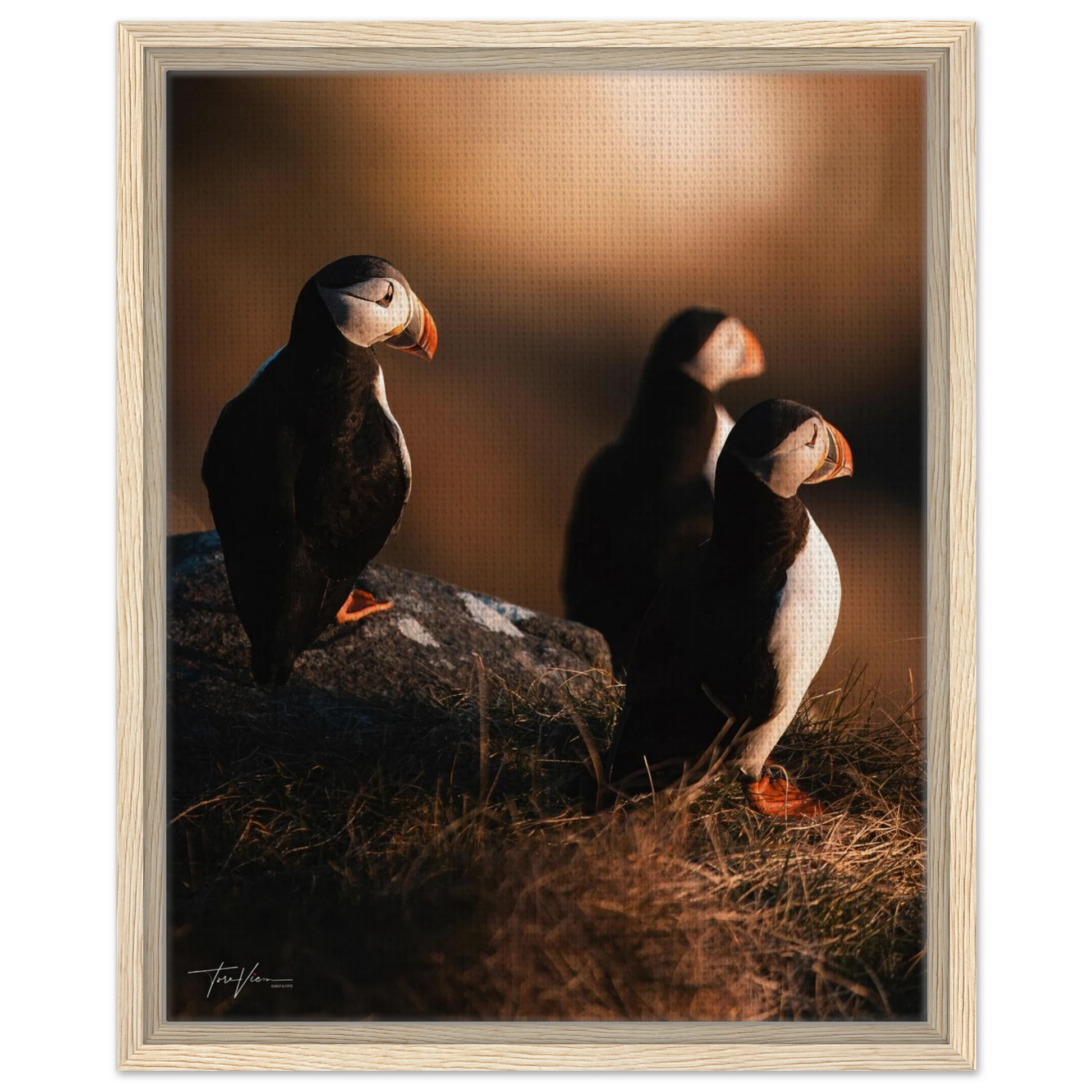 5c14e270-eae4-4031-bab0-329d85ea2f91