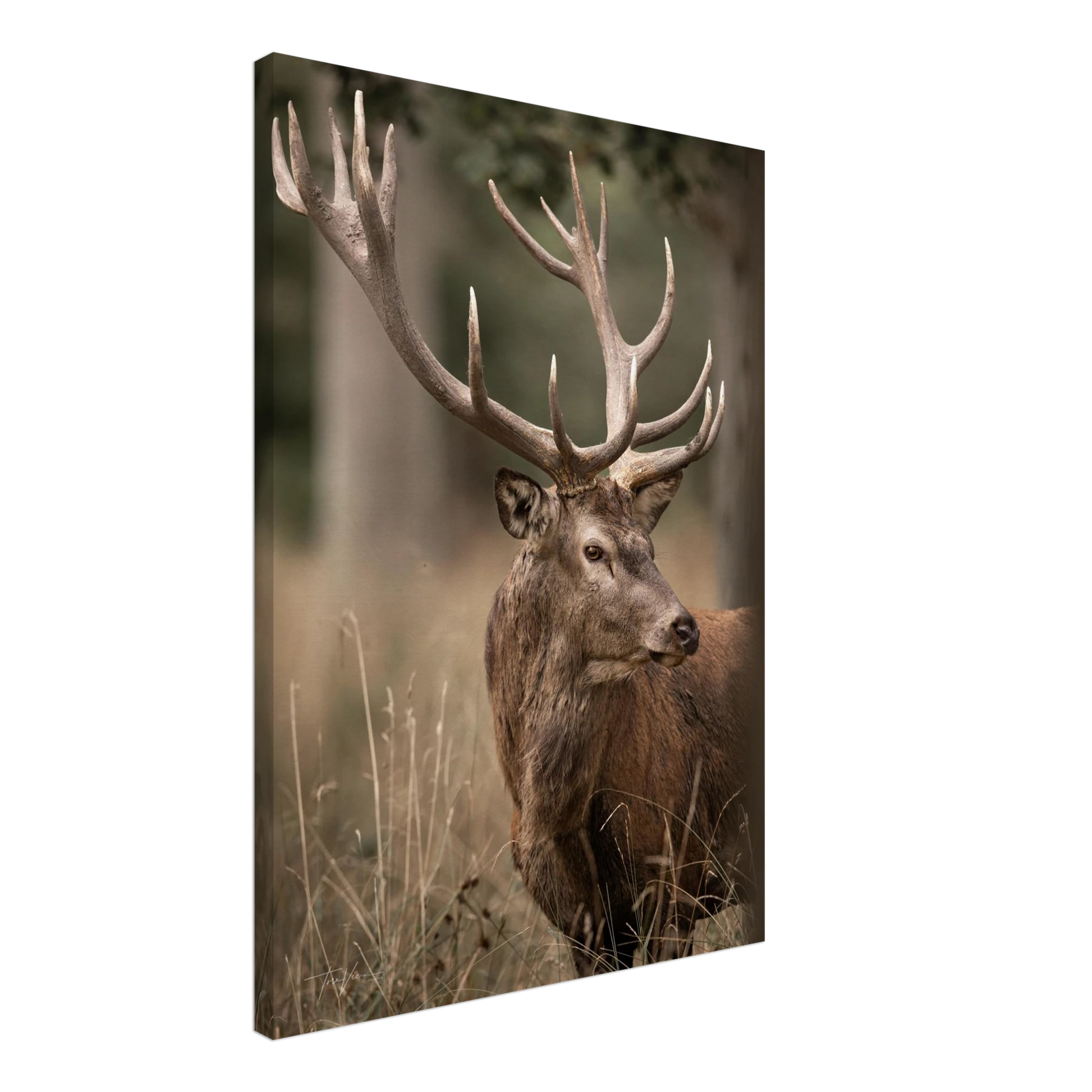 5c3c0ea2-6226-45a3-b3e7-1d98365ae3d2