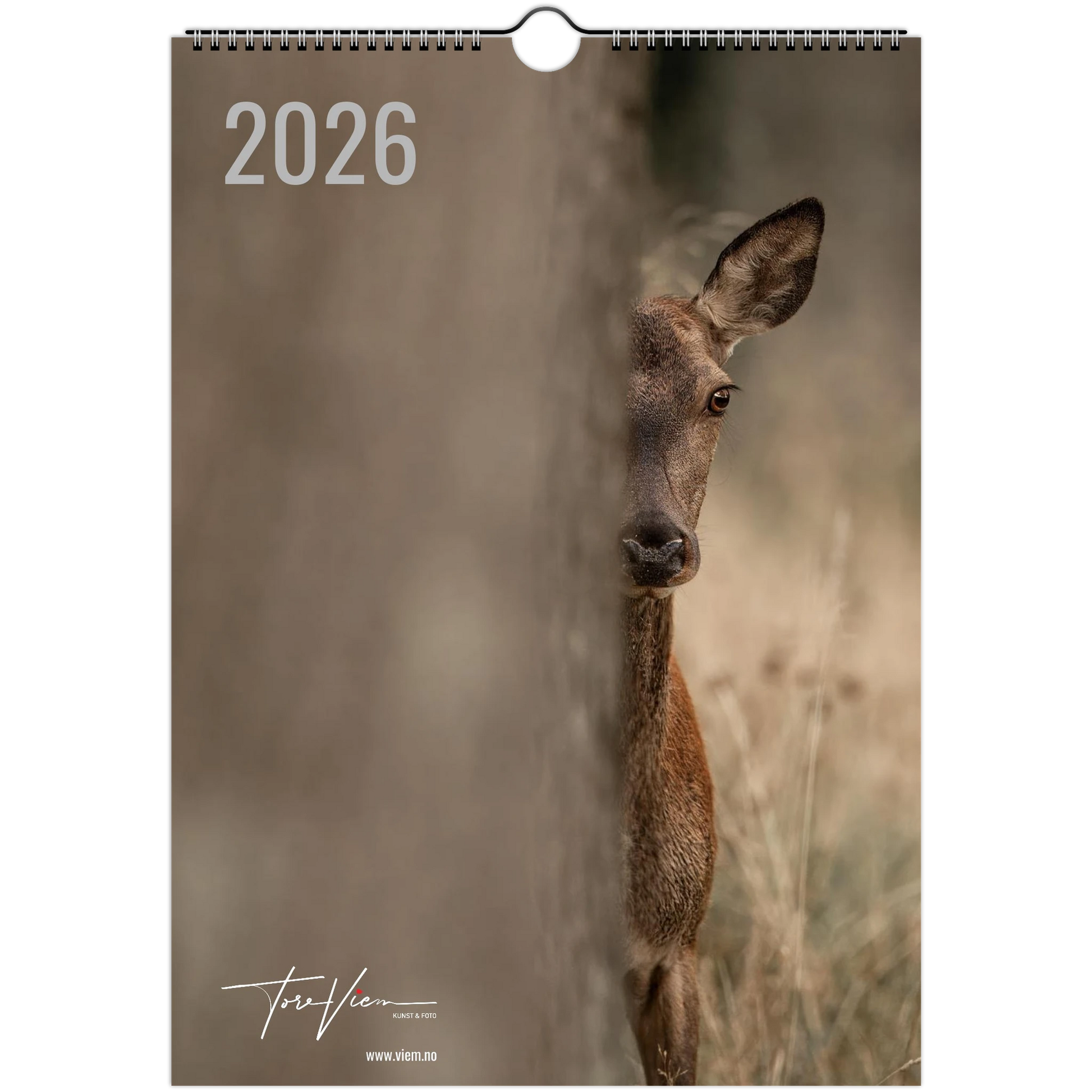 5d30bbe9-4d2e-4254-830d-903743602152