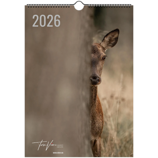 5d30bbe9-4d2e-4254-830d-903743602152