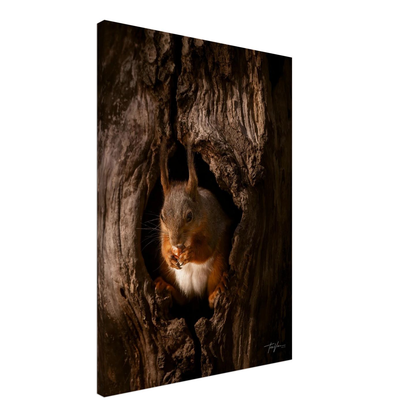 5e5228c3-9348-4391-890f-7d6b74d01201