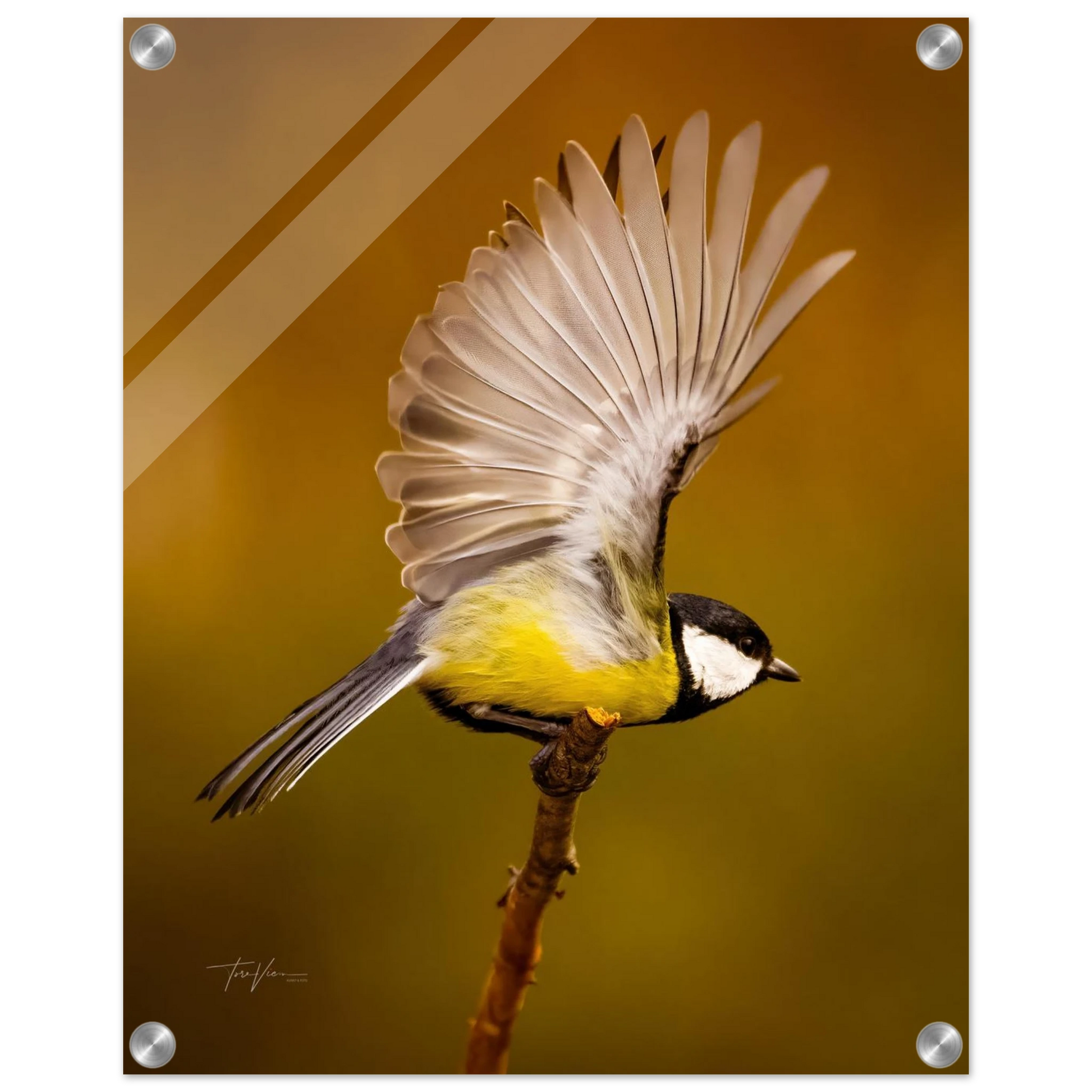 5fc6be57-fc67-4aa3-a9c5-dc16a5af05ac