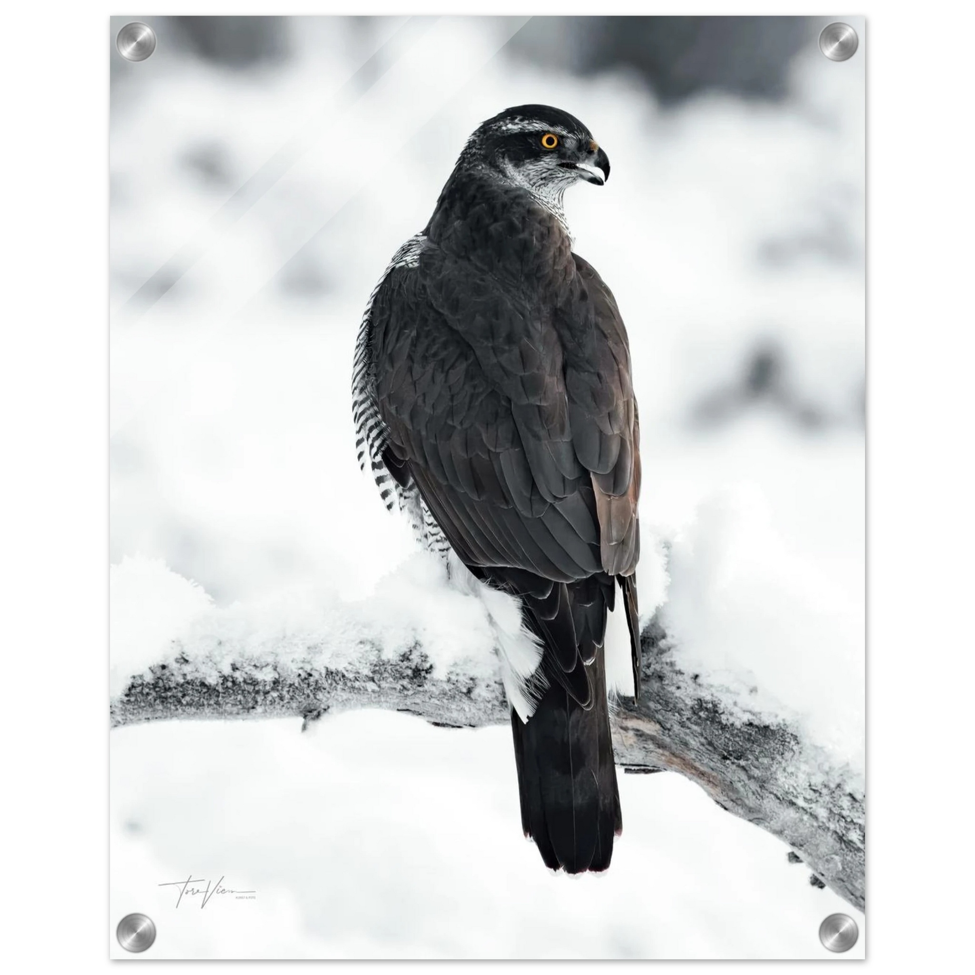 625c5f56-7e91-4c4a-bee7-e16426685b07