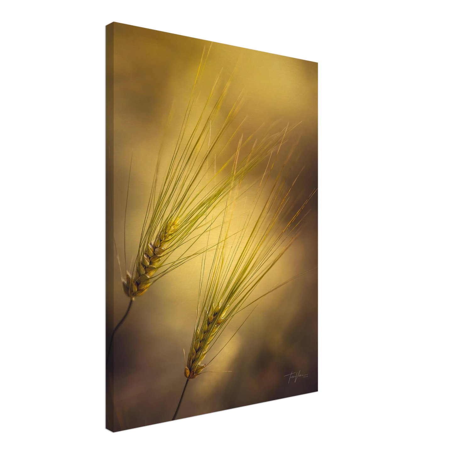 63929406-d016-46ce-8471-695718427aea