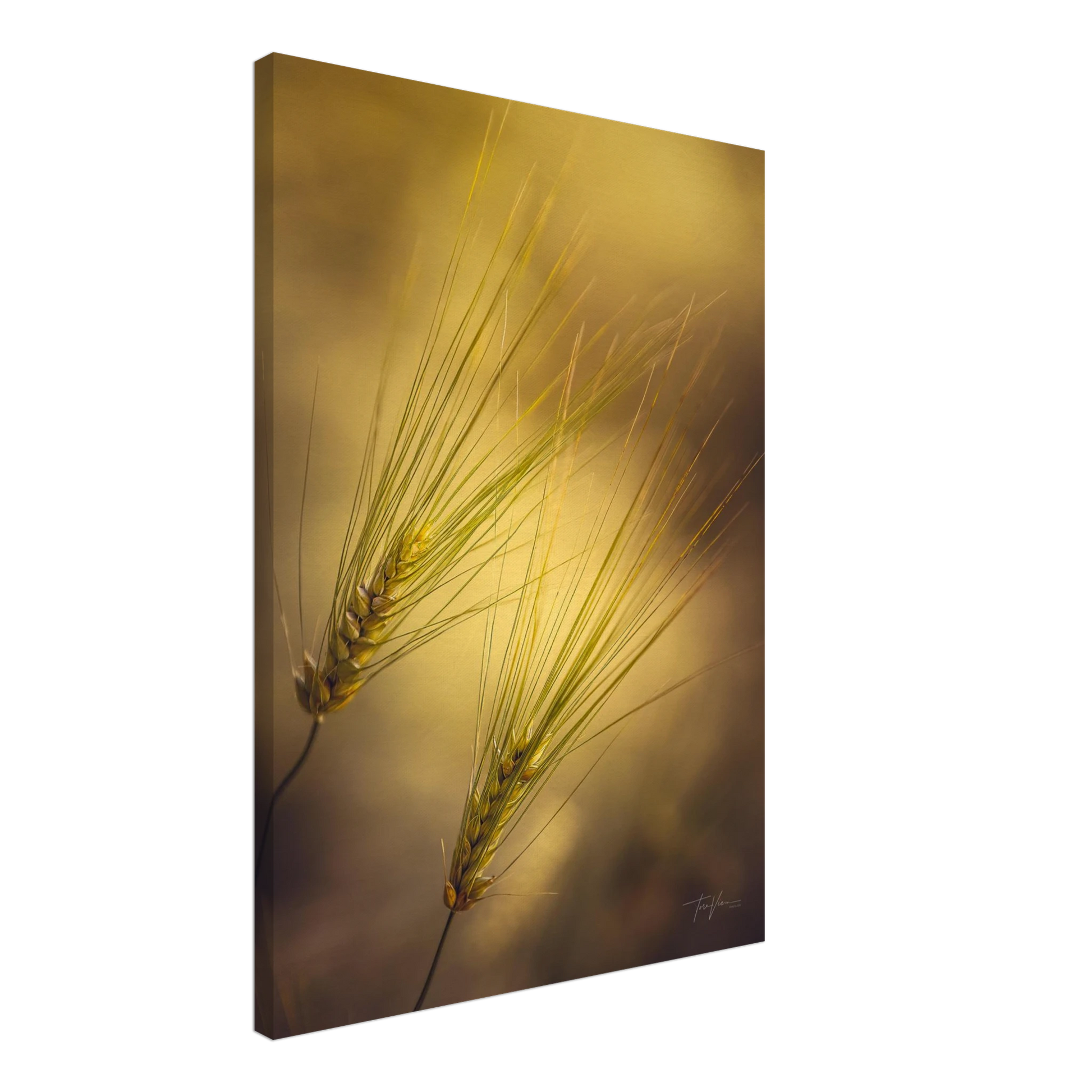 63929406-d016-46ce-8471-695718427aea