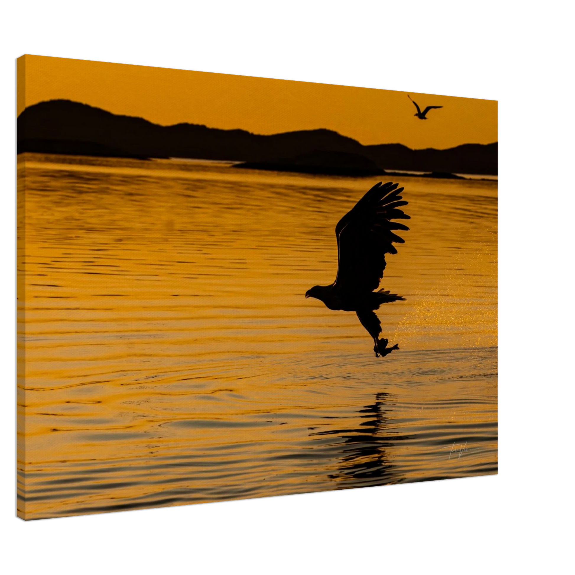 6394c19d-5d6c-4b71-8b15-dc1914f76095