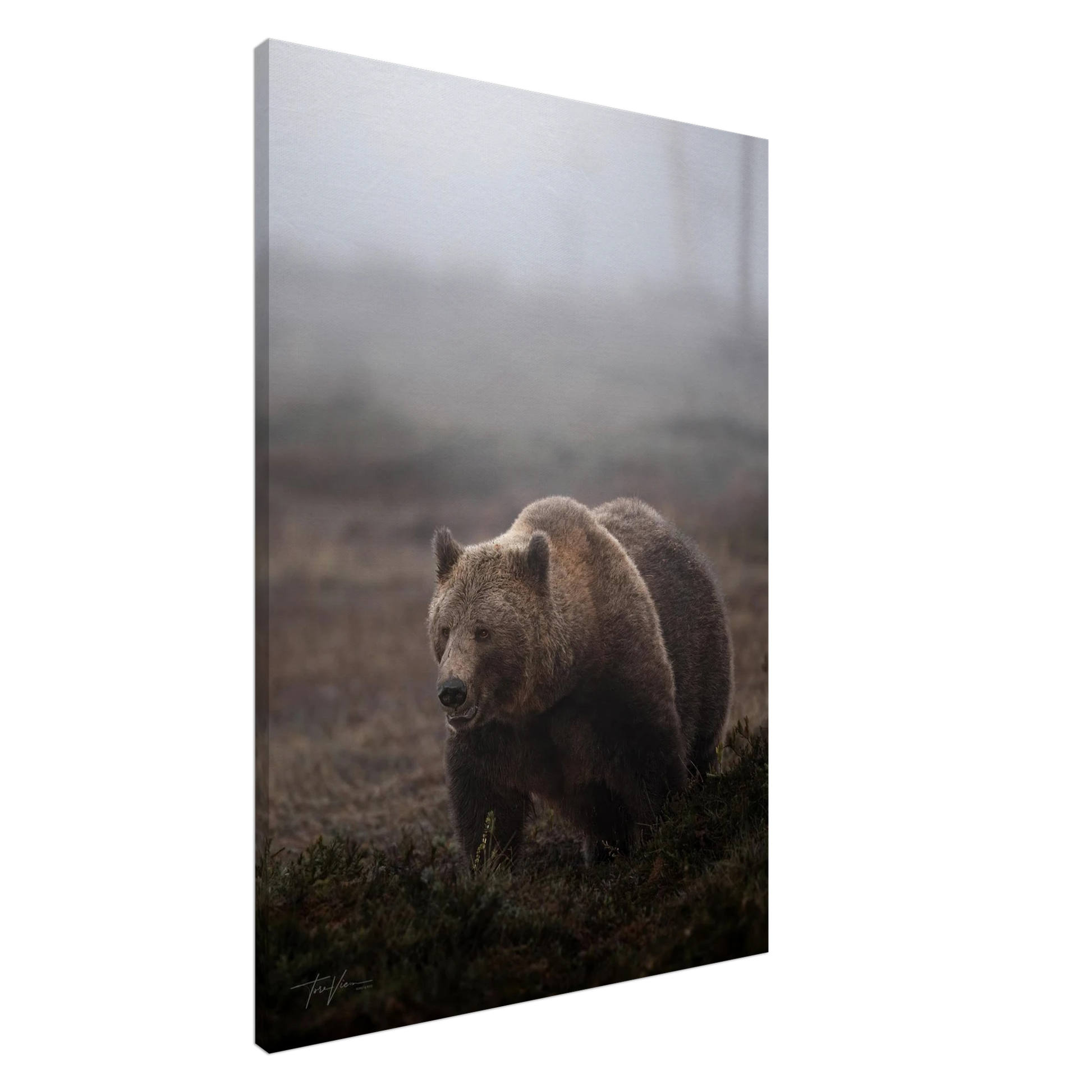 655e2e6c-e12b-4670-a11a-a0ff131c7e15