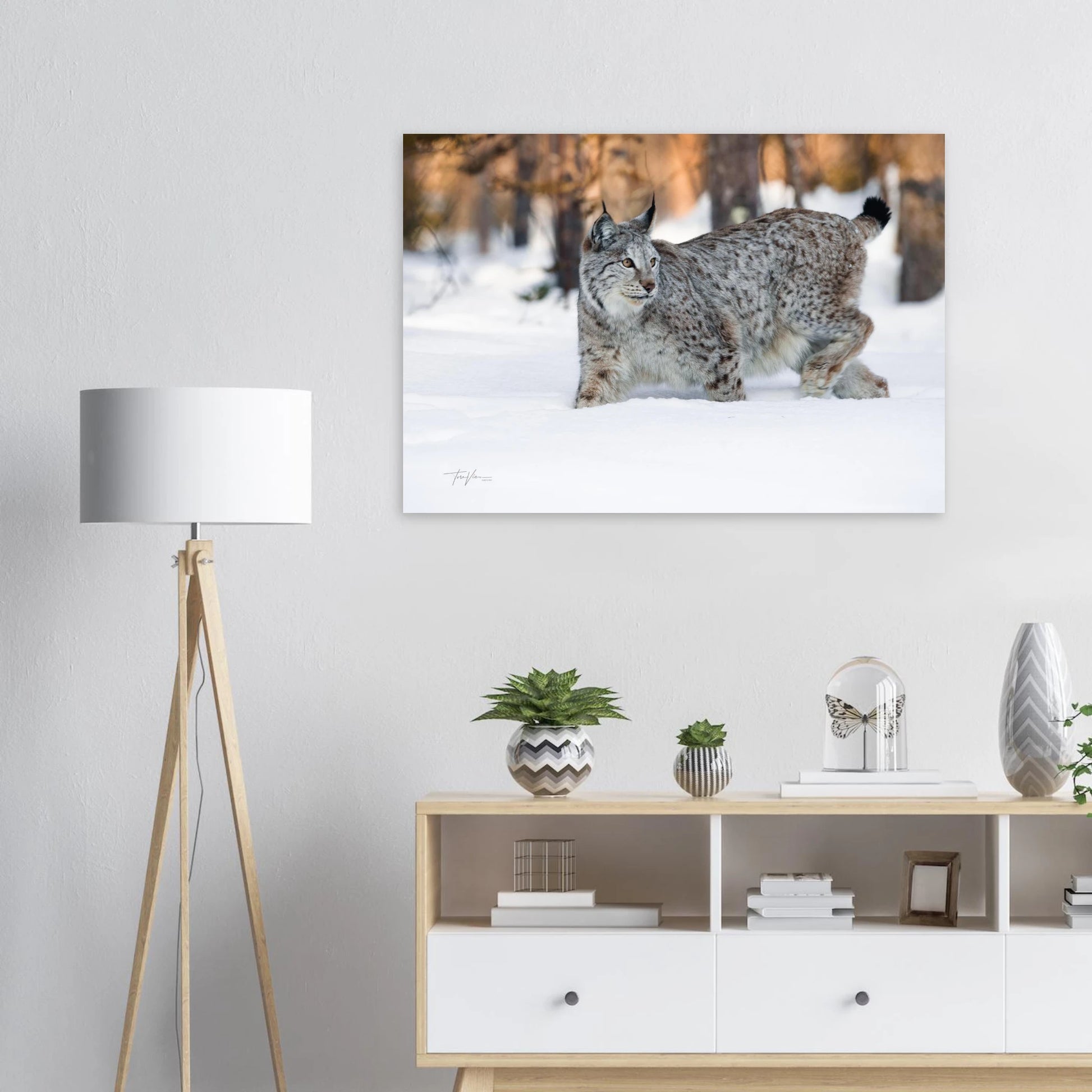 66ecdab7-dfdb-4be3-88d7-91d4a4cf3fb5