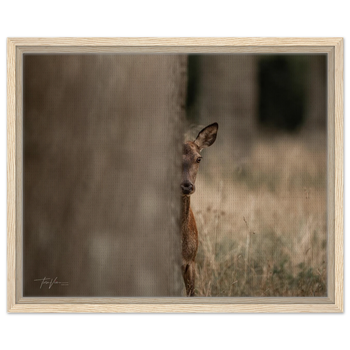 66fdb726-81e4-426a-b874-1452739590f7