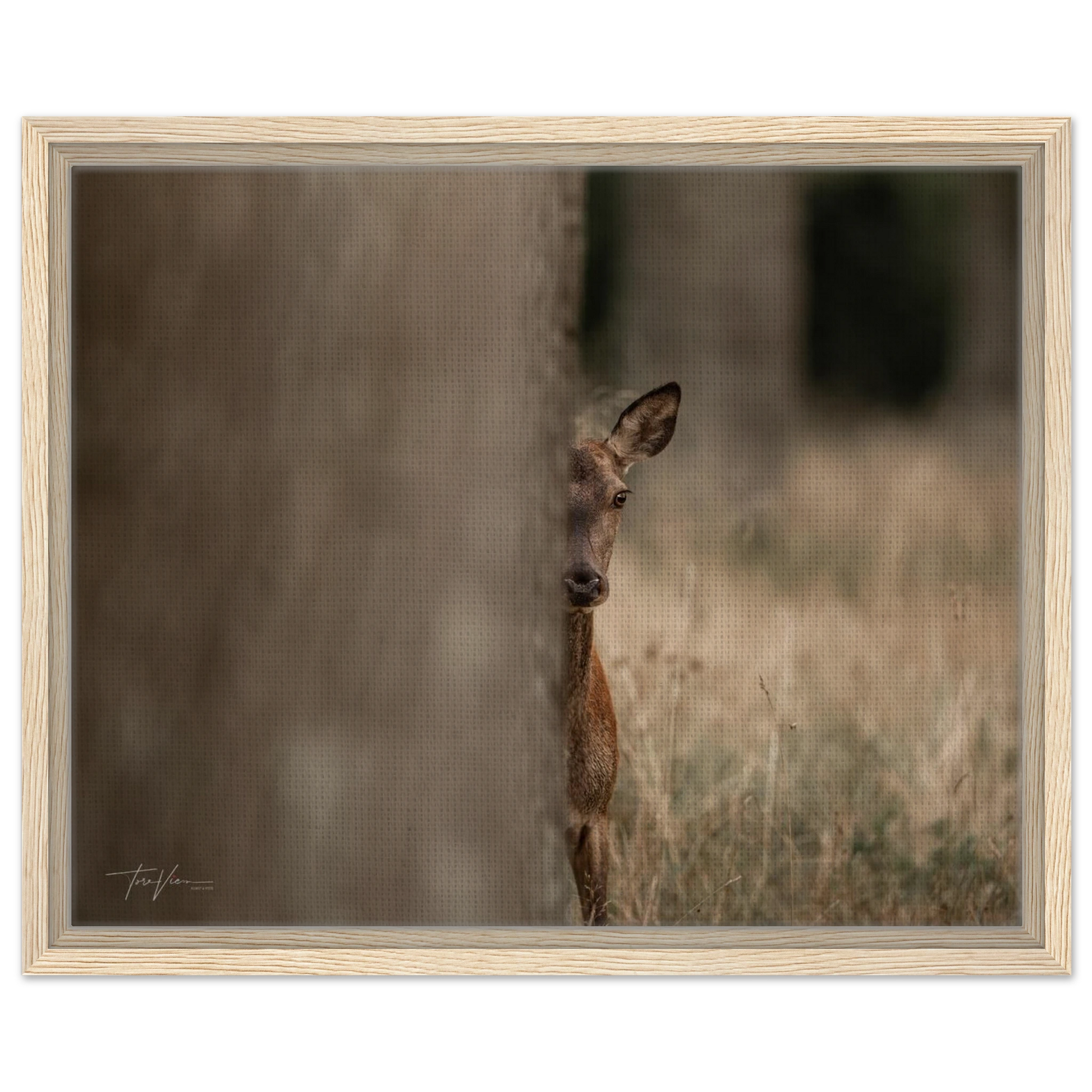 66fdb726-81e4-426a-b874-1452739590f7