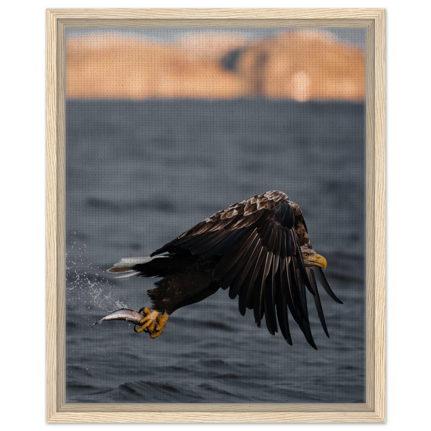 67c62fab-6a16-4d4f-8a7e-c6b9703559fe