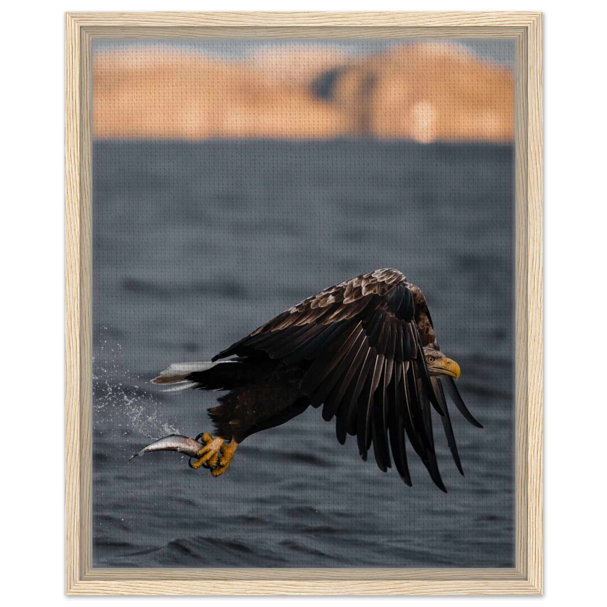 67c62fab-6a16-4d4f-8a7e-c6b9703559fe