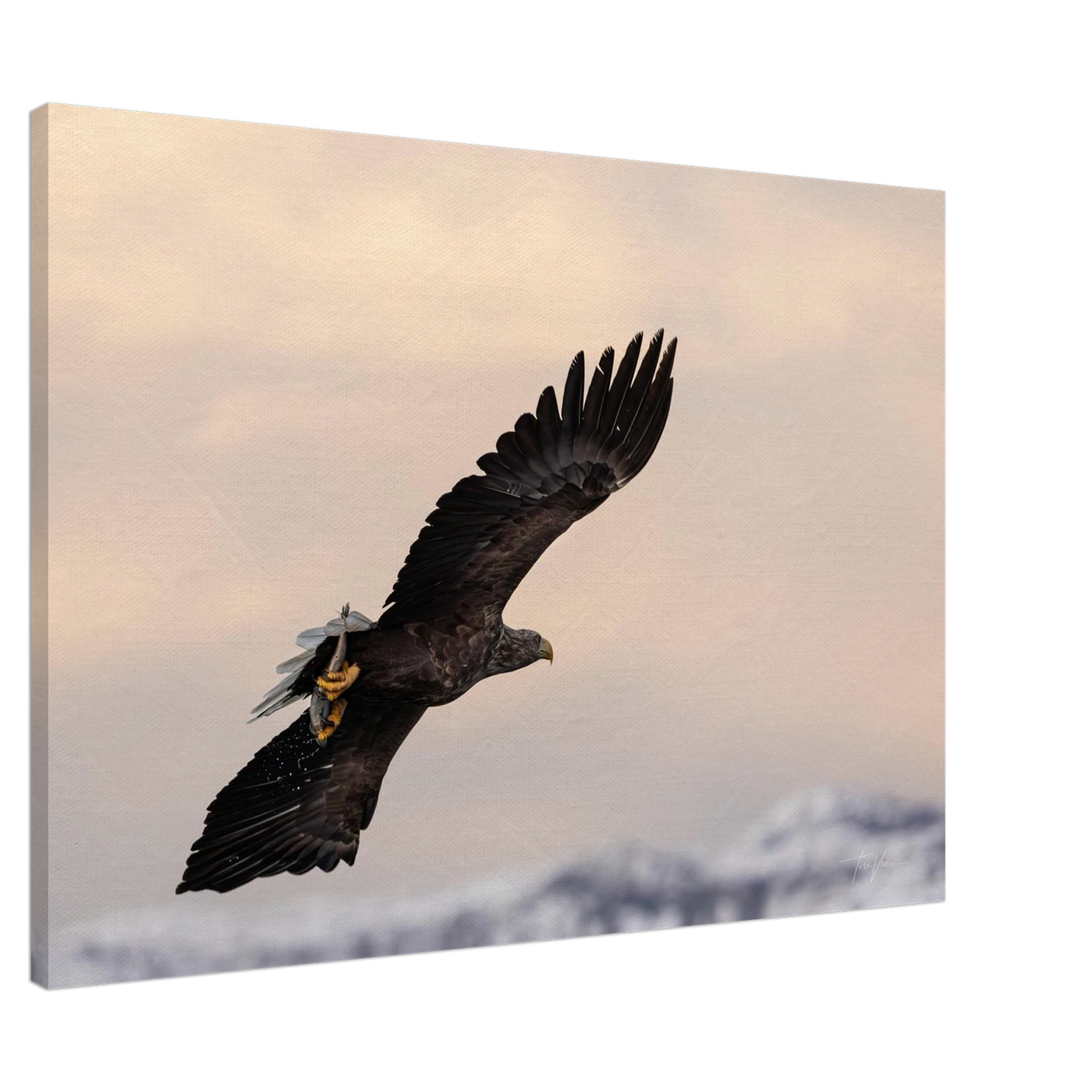 68369cd4-52cd-497f-9b93-a5c29c30a160